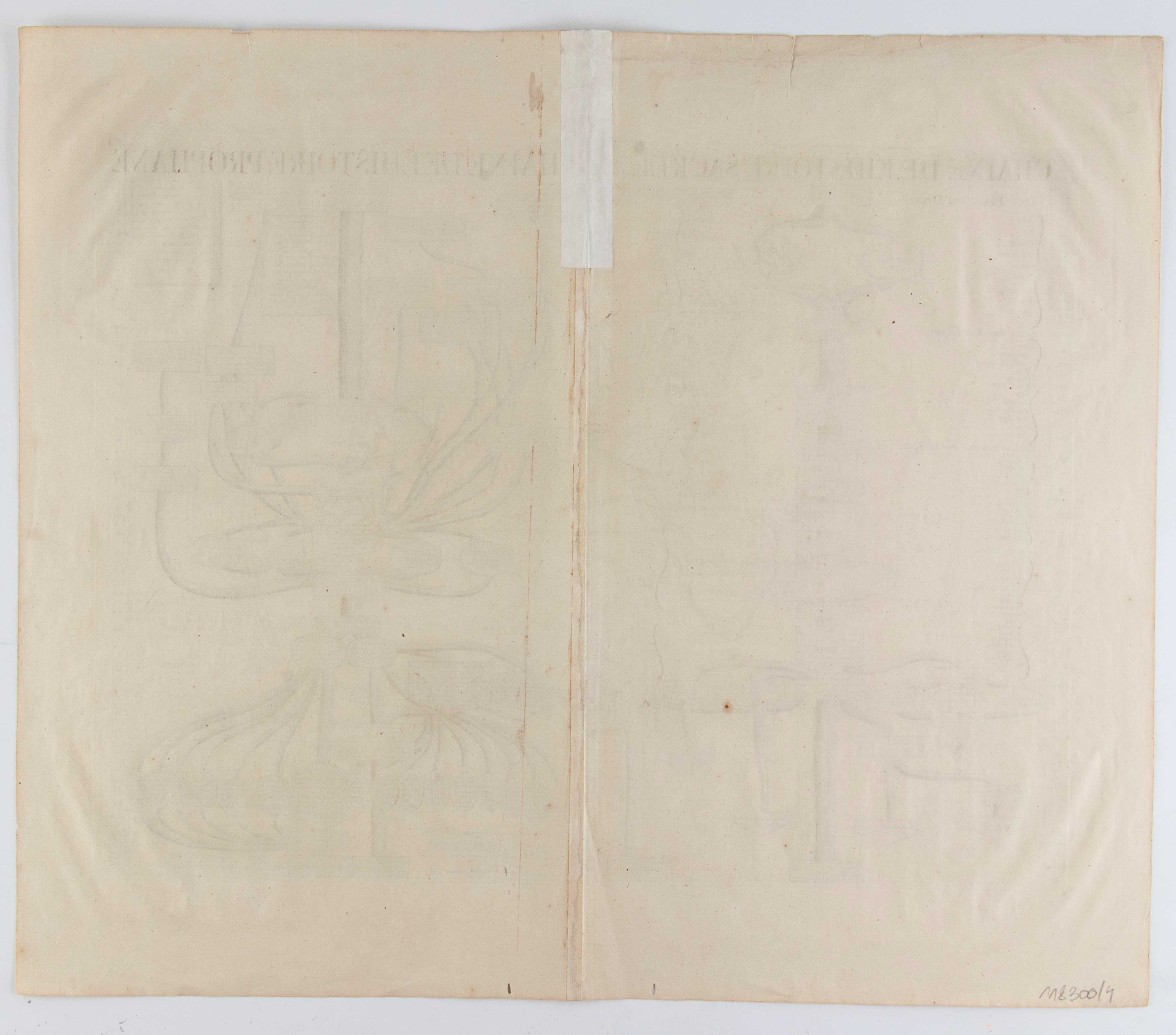 Chaine de L'Histoire Sacree | Carte pour conduire à l'intelligence de l'histoire sacrée... | Cart...