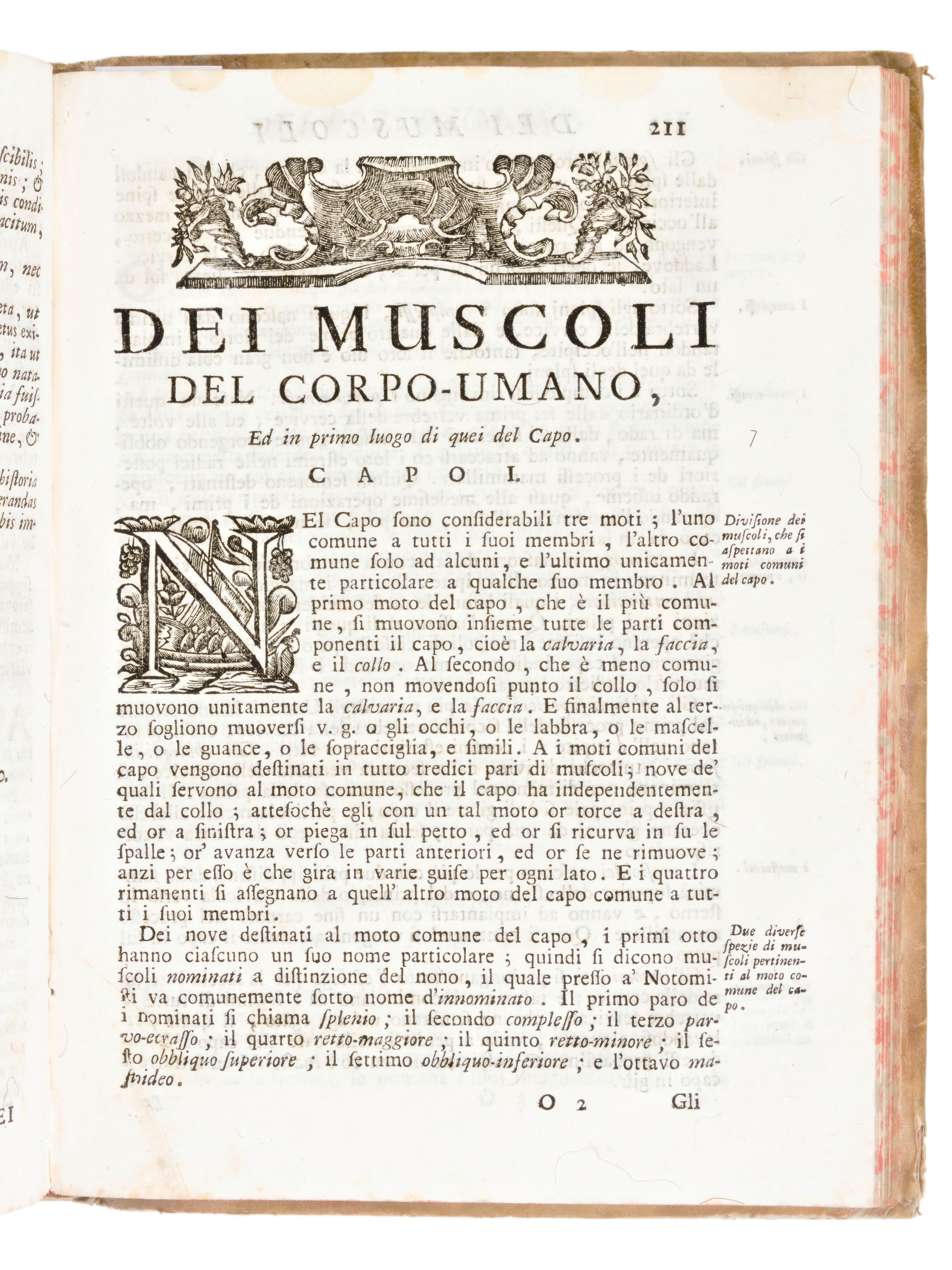 [Medicina/Anatomia] Pascoli, Alessandro : Il corpo umano… si descrivono in Compendio tutti gli or...