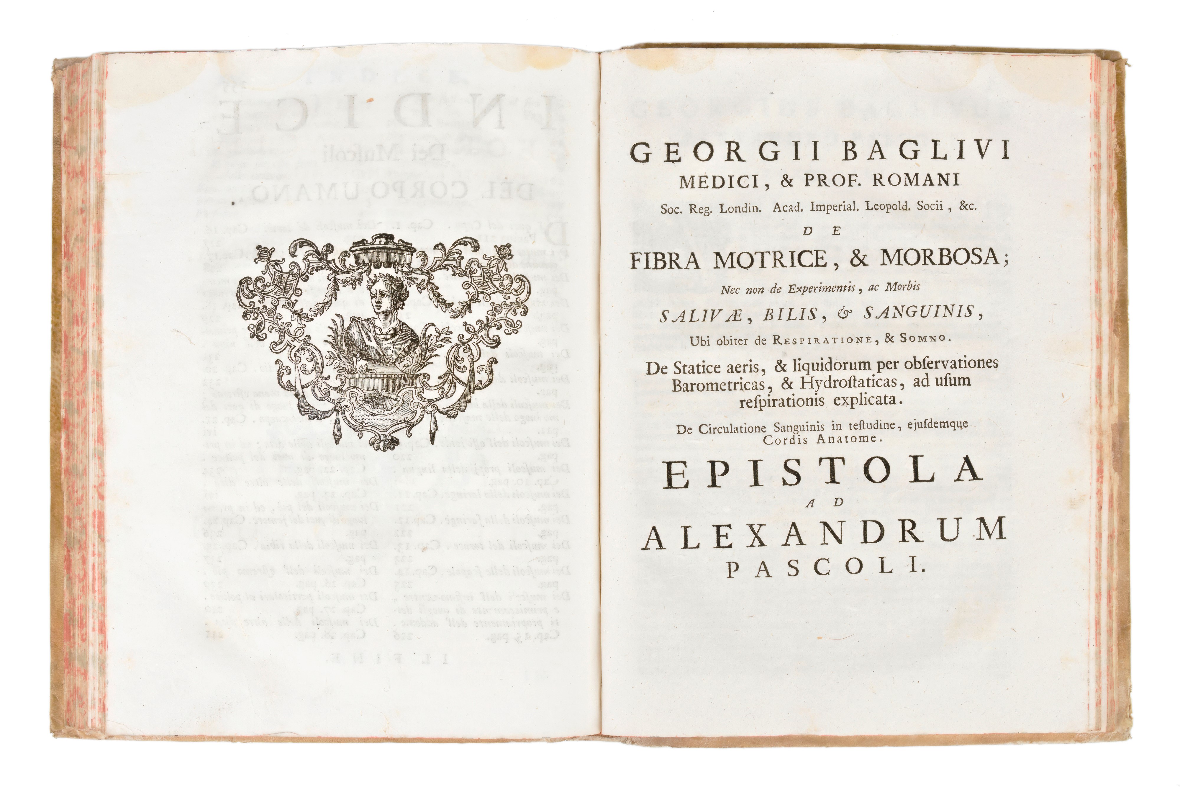 [Medicina/Anatomia] Pascoli, Alessandro : Il corpo umano… si descrivono in Compendio tutti gli or...