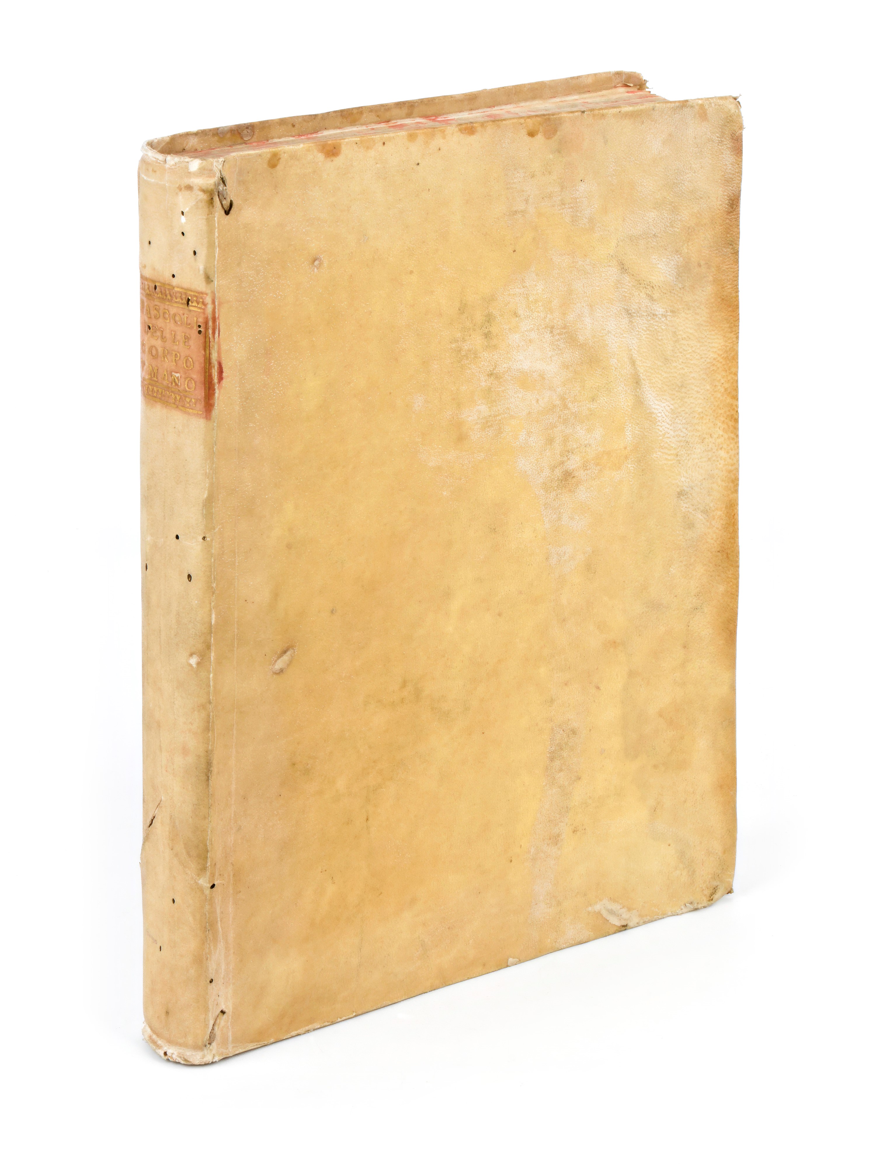 [Medicina/Anatomia] Pascoli, Alessandro : Il corpo umano… si descrivono in Compendio tutti gli or...