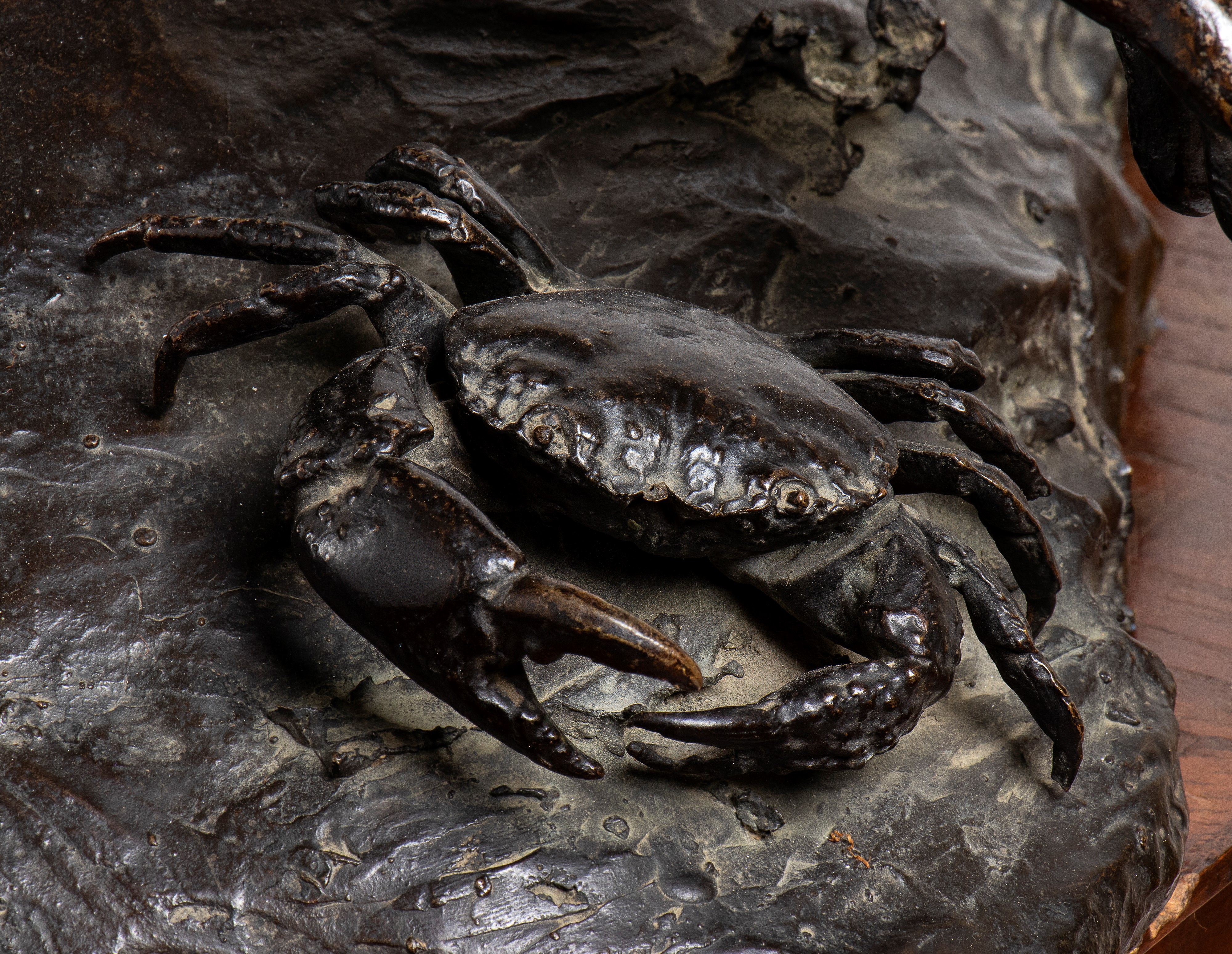 Giovane pescatore di granchi