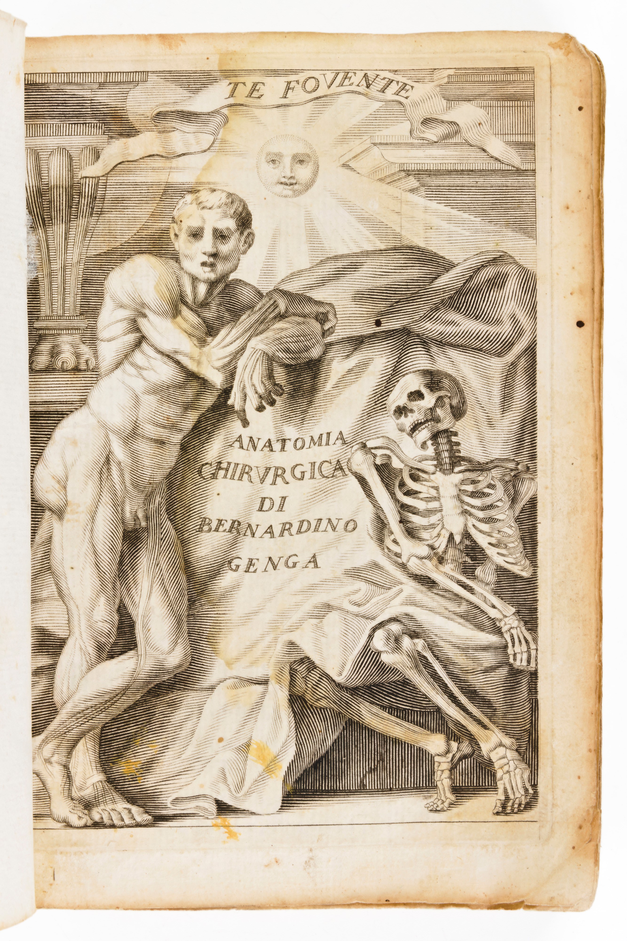 [Medicina] Genga, Bernardino : Anatomia chirurgica cioe Istoria anatomica dell'ossa, e muscoli de...