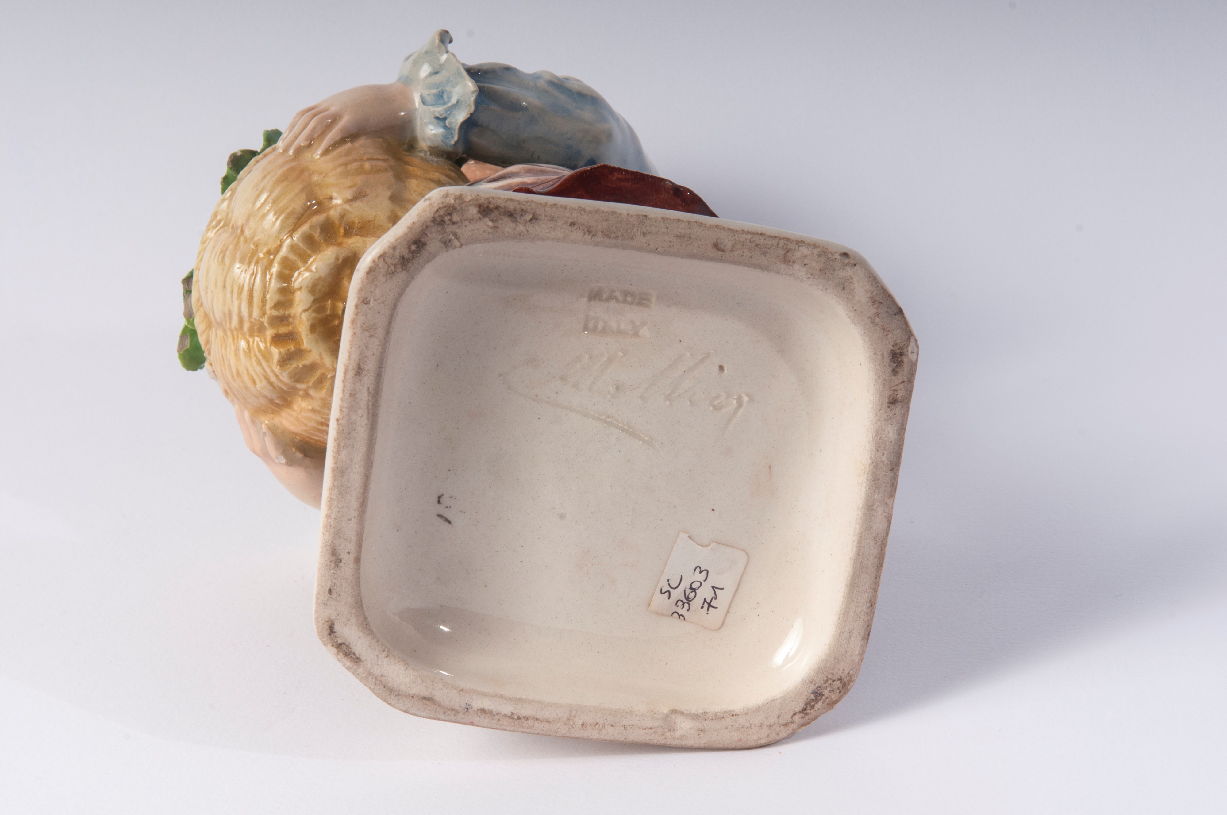 Fanciullo con conigli