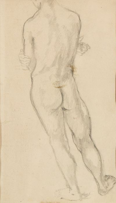 Studio per Nudo Maschile di Schiena