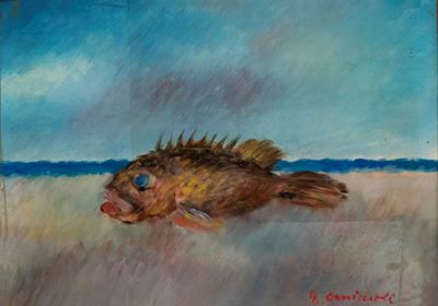 Il Pesce