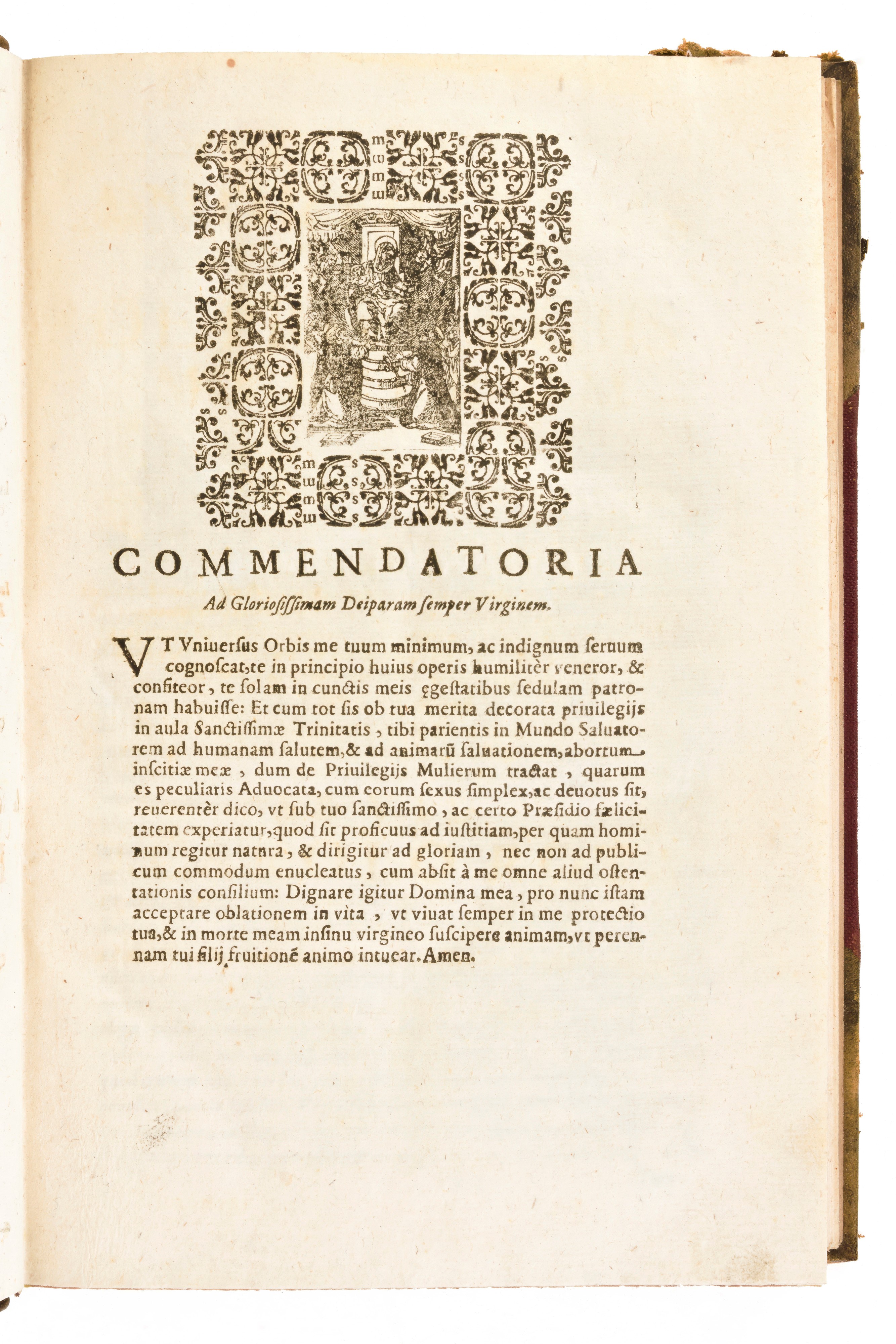 [diritti Donne] Rota, Carlo : Legalis Androgynus Sive Tractatus De Privilegijs Mulierum... Haered...