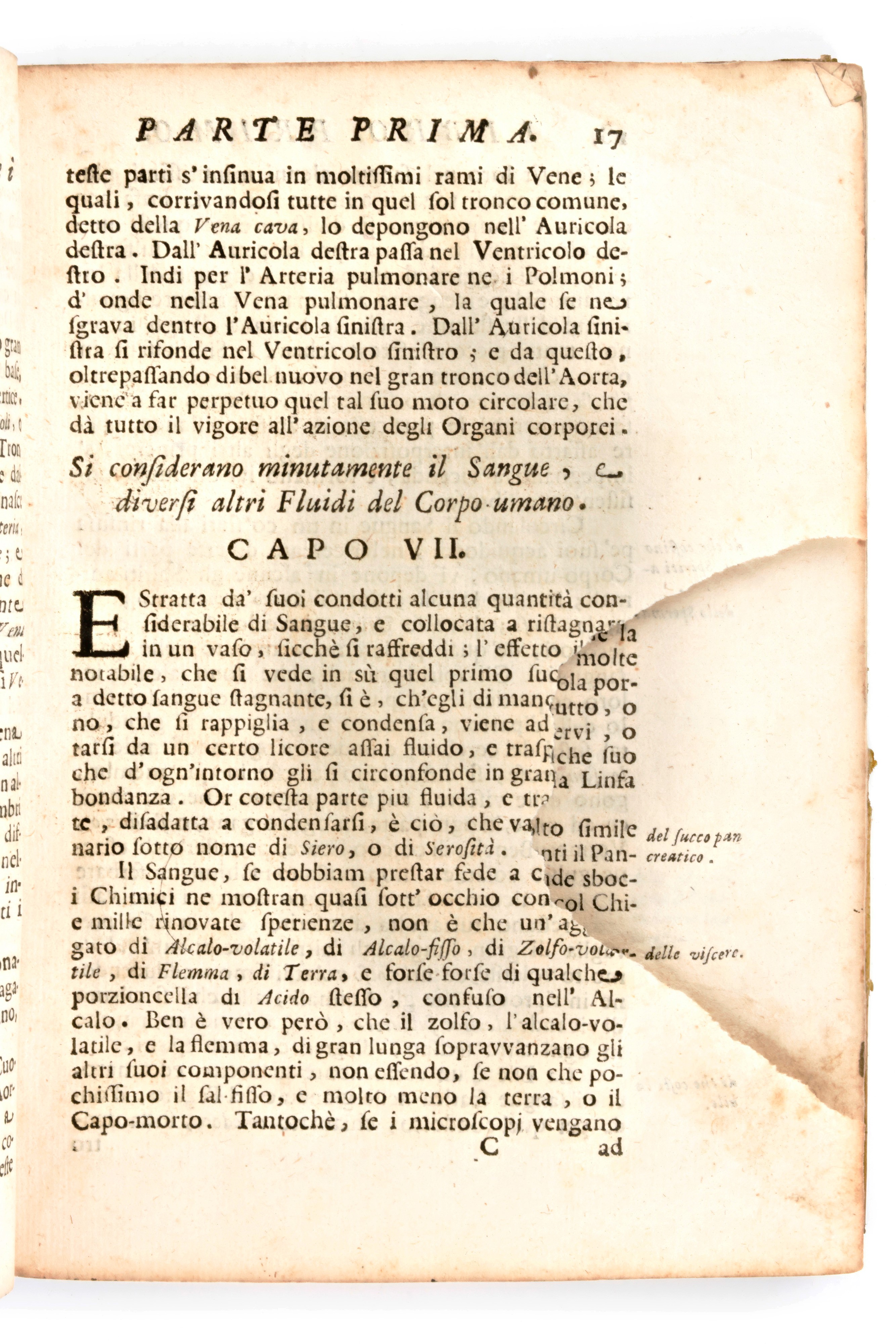 [anatomia] Pascoli, Alessandro : il Corpo-umano, o Breve Storia, Dove con Nuovo Metodo Si Descriv...