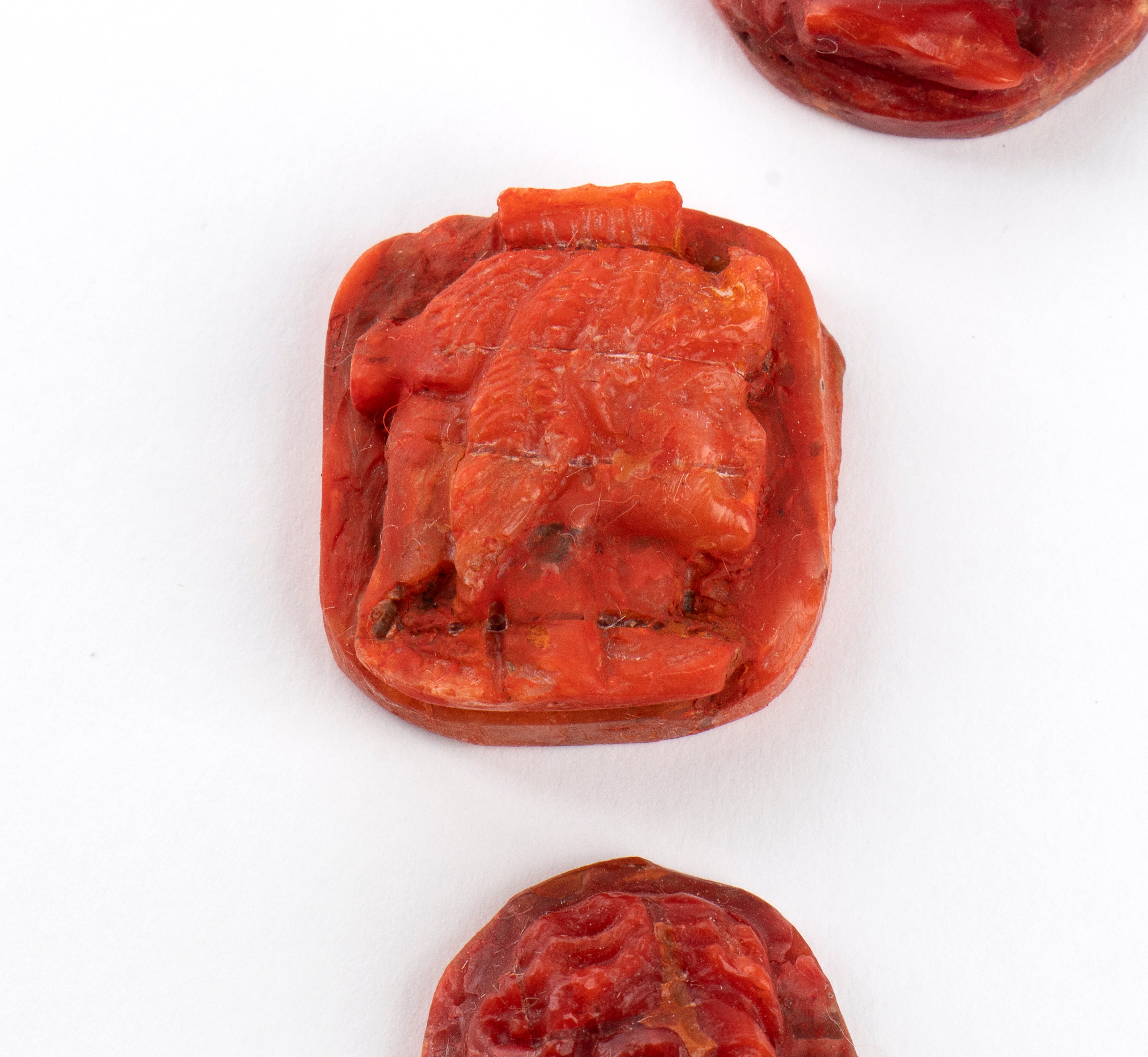 Lotto di 12 cammei in corallo