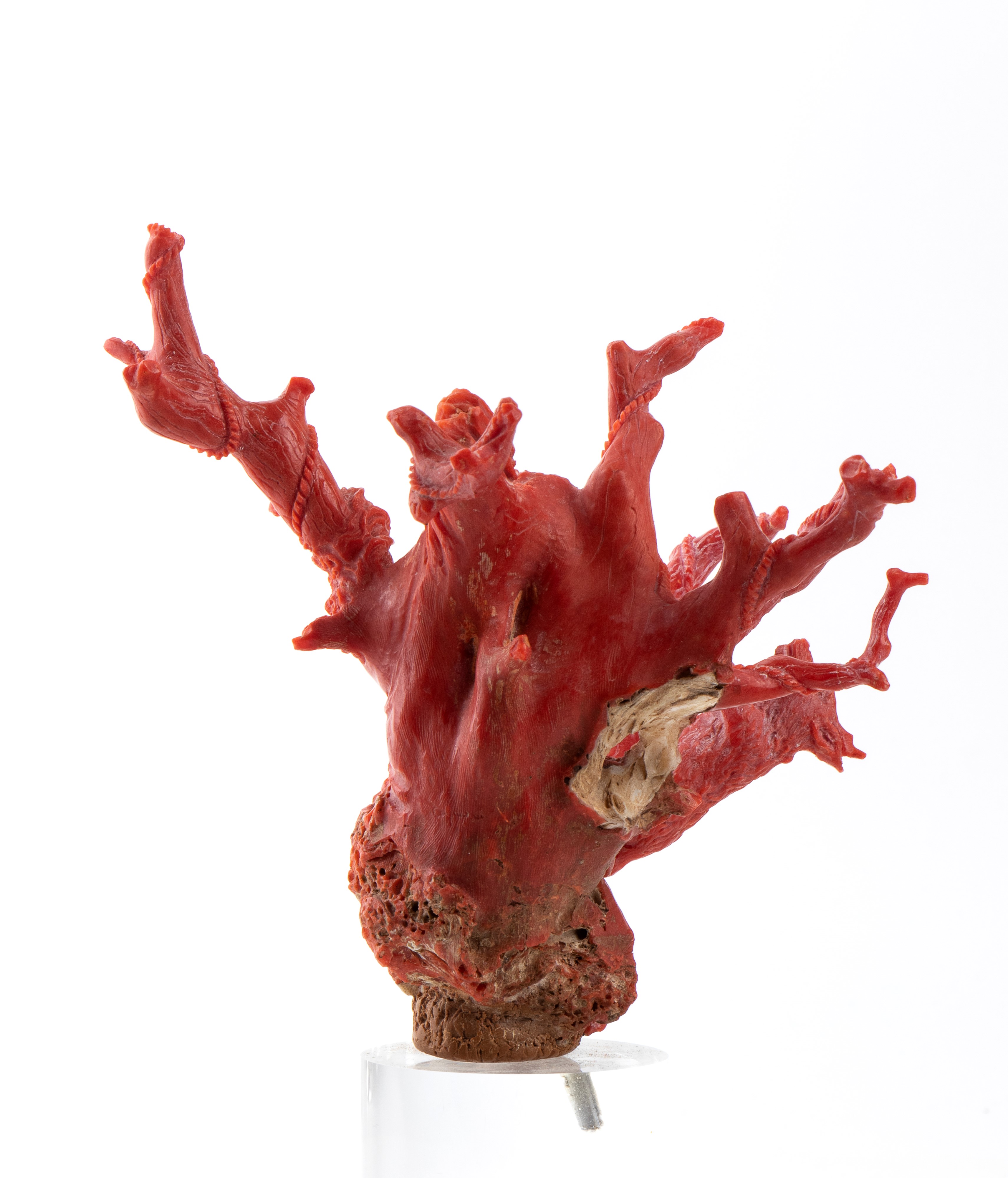 Scultura in corallo raffigurante il ratto di Proserpina