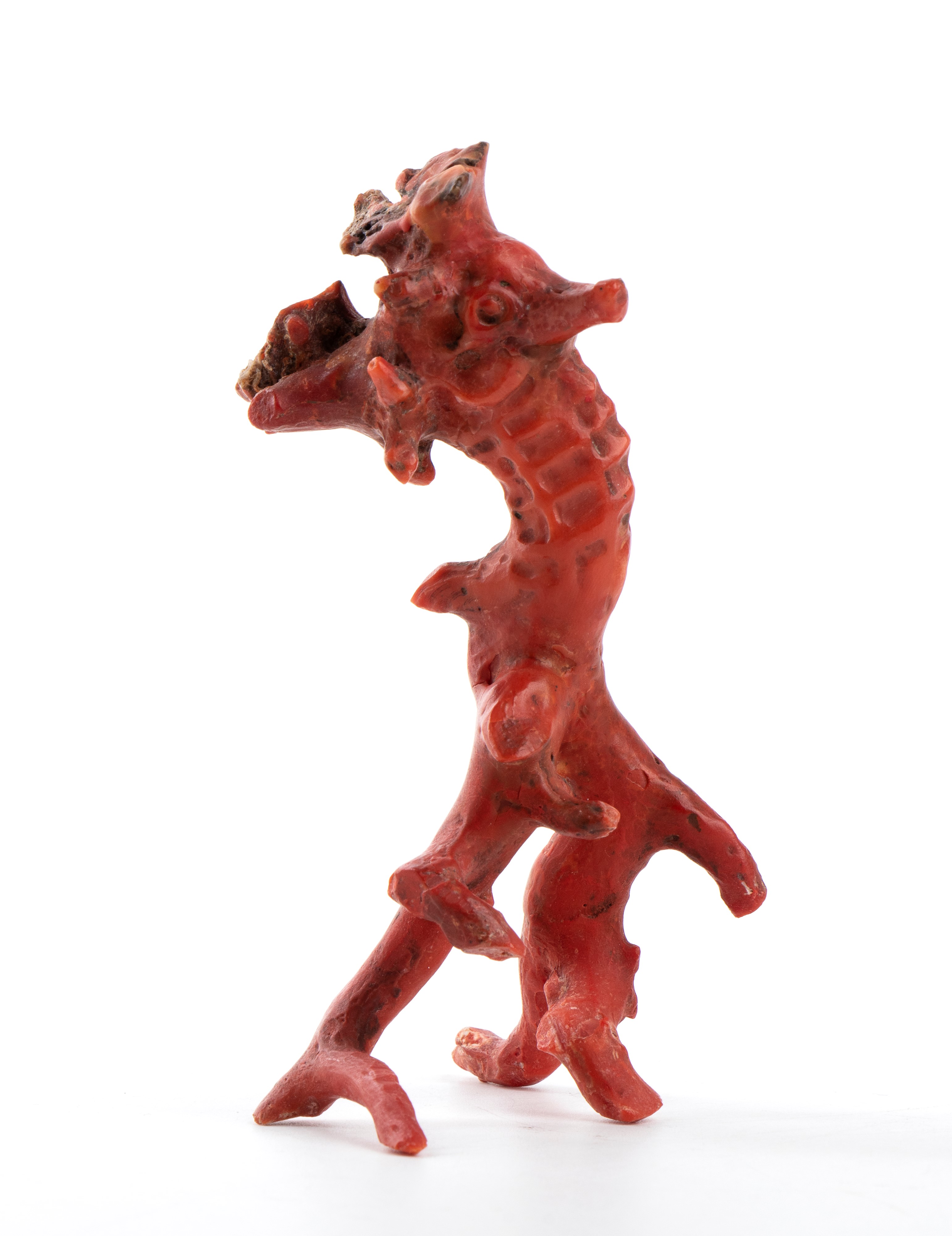 Scultura in corallo rosso, cavalluccio marino (Corallum rubrum), XIX secolo