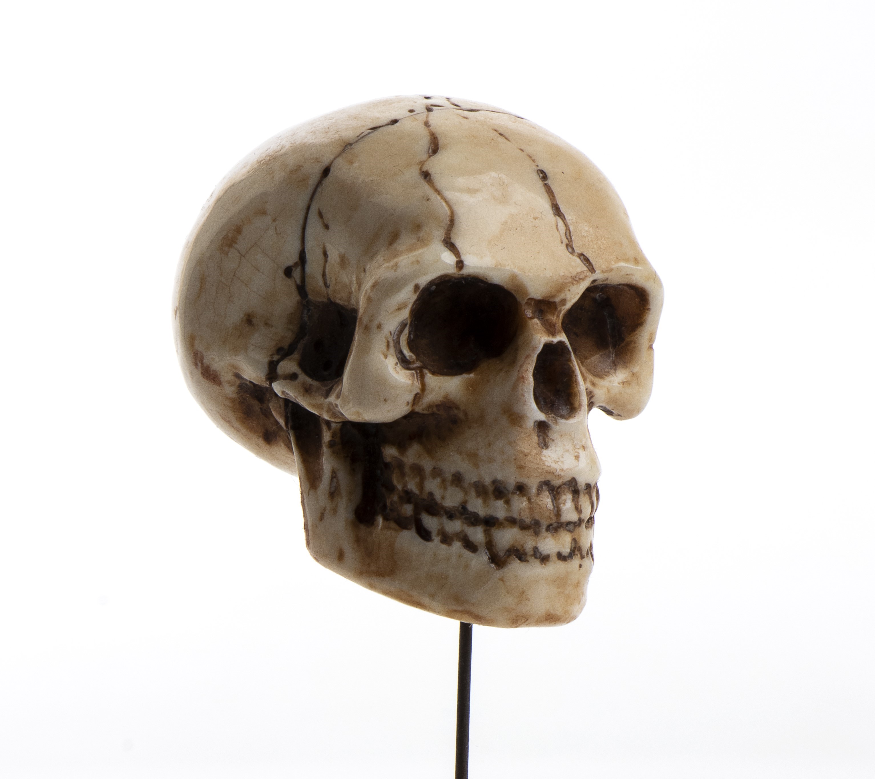 Teschio in avorio di mammut, opera simbolica “memento mori” (scultura a tutto tondo), Germania, X...