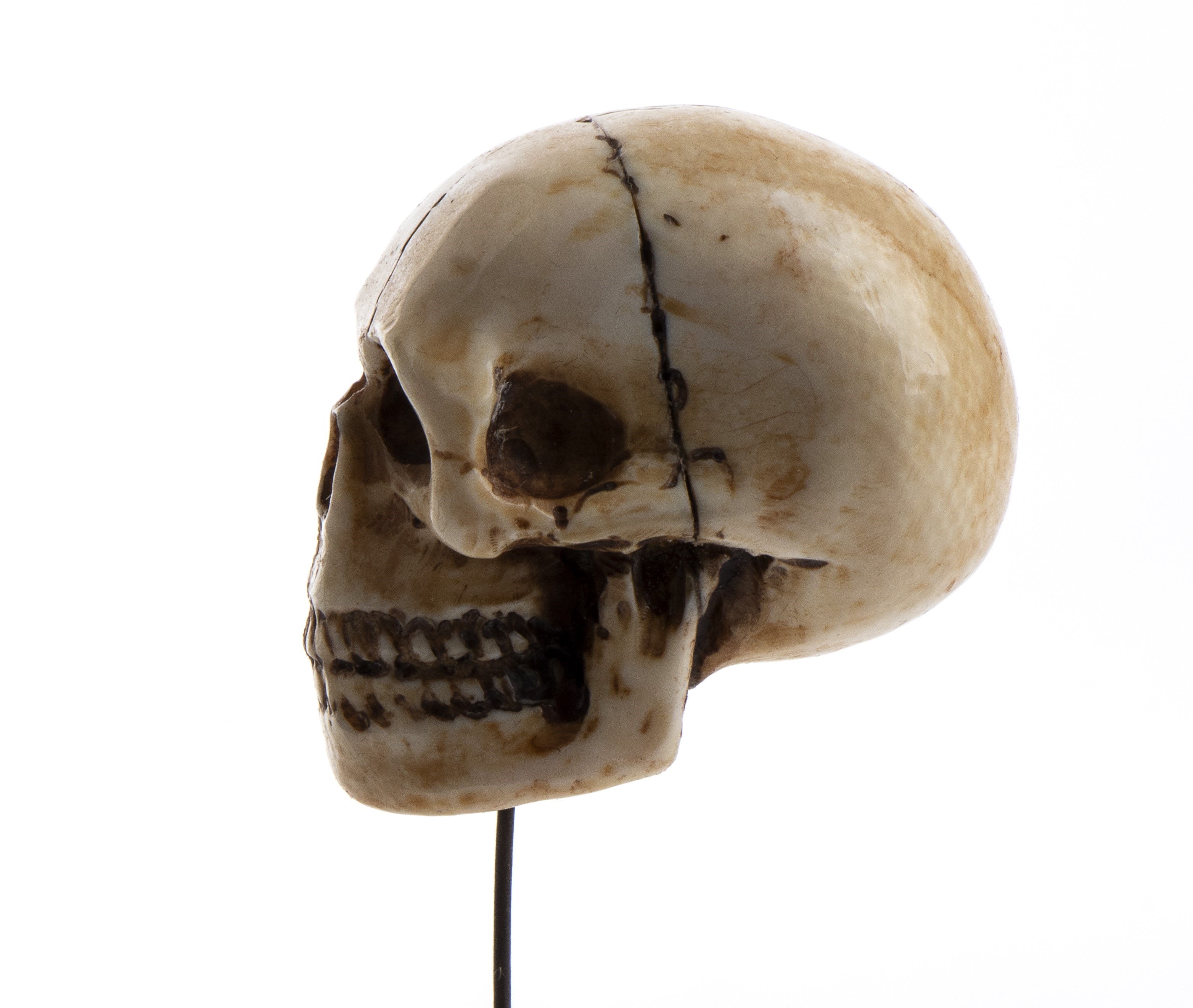 Teschio in avorio di mammut, opera simbolica “memento mori” (scultura a tutto tondo), Germania, X...