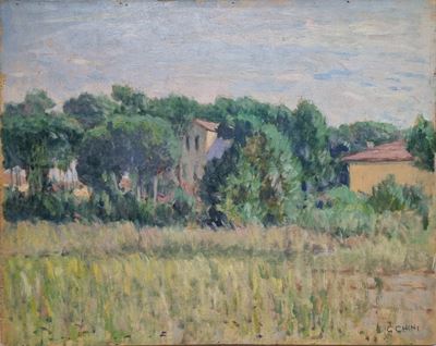 Paesaggio di Camaiore