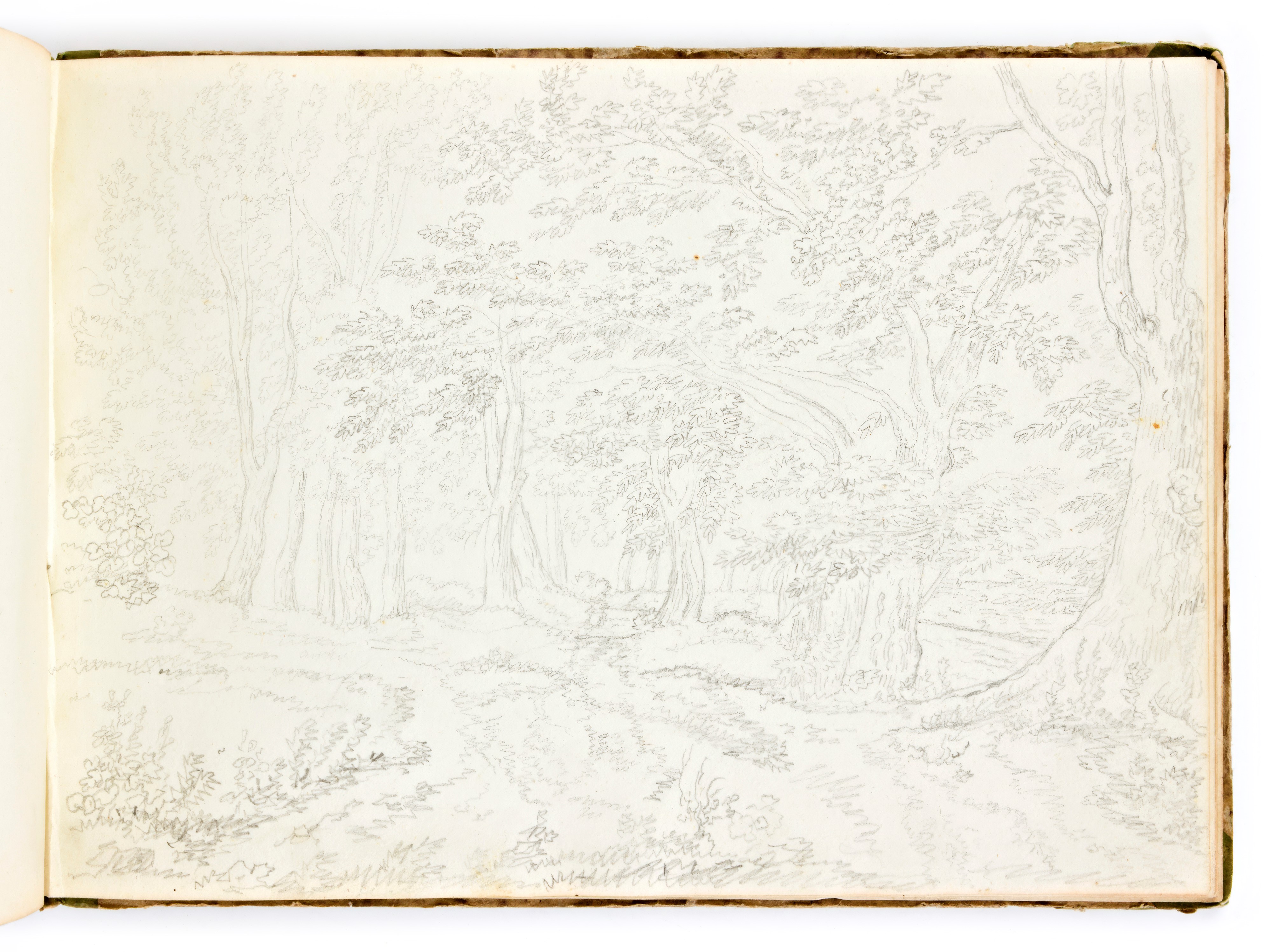 Album di disegni inglesi del XIX sec. Vedute Paesaggi Boschi Montagna