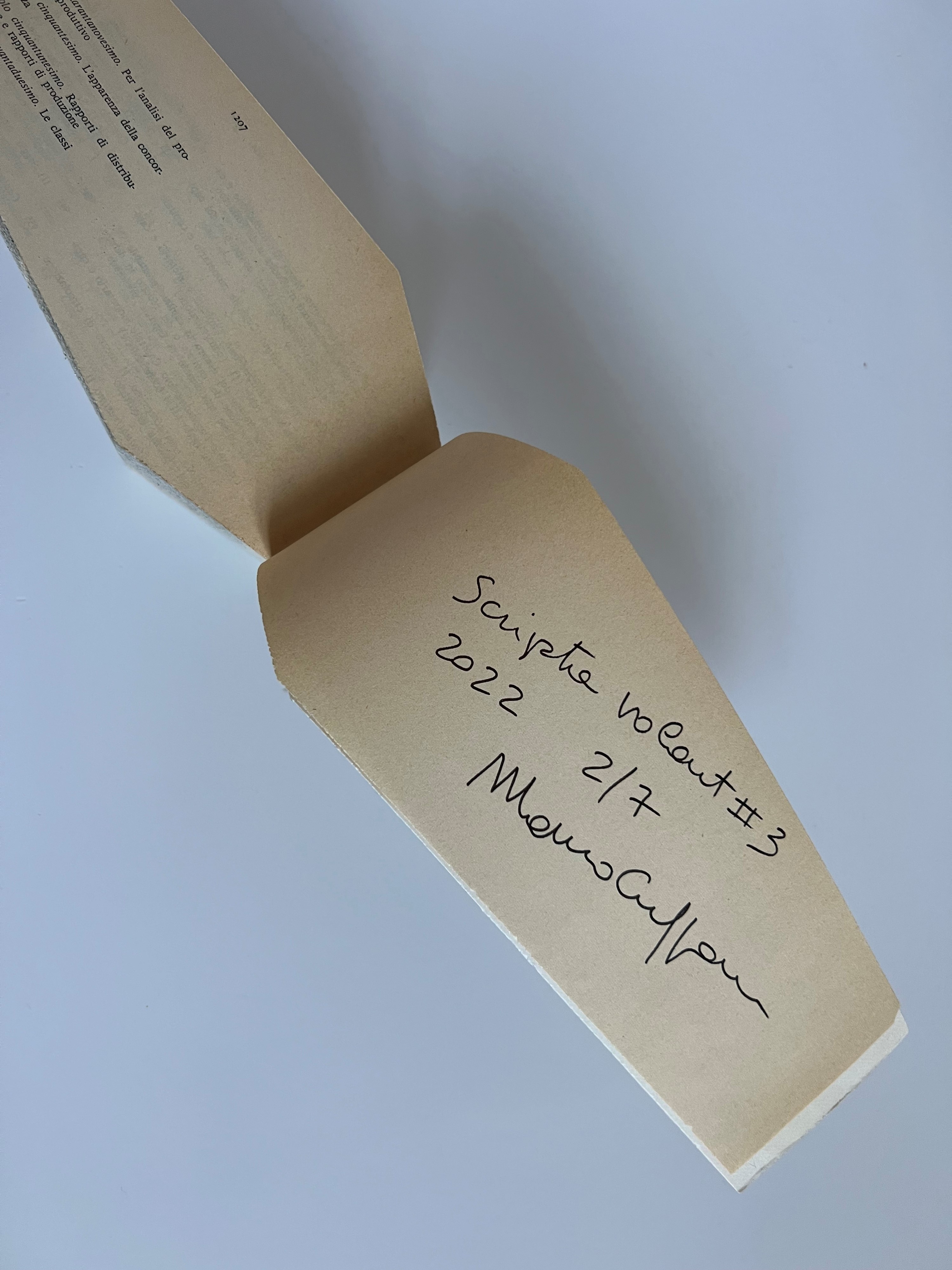 Mauro Cuppone - Scripta Volant #3