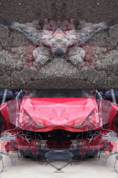 Rorschach (crash) Test #1ac. Dittico