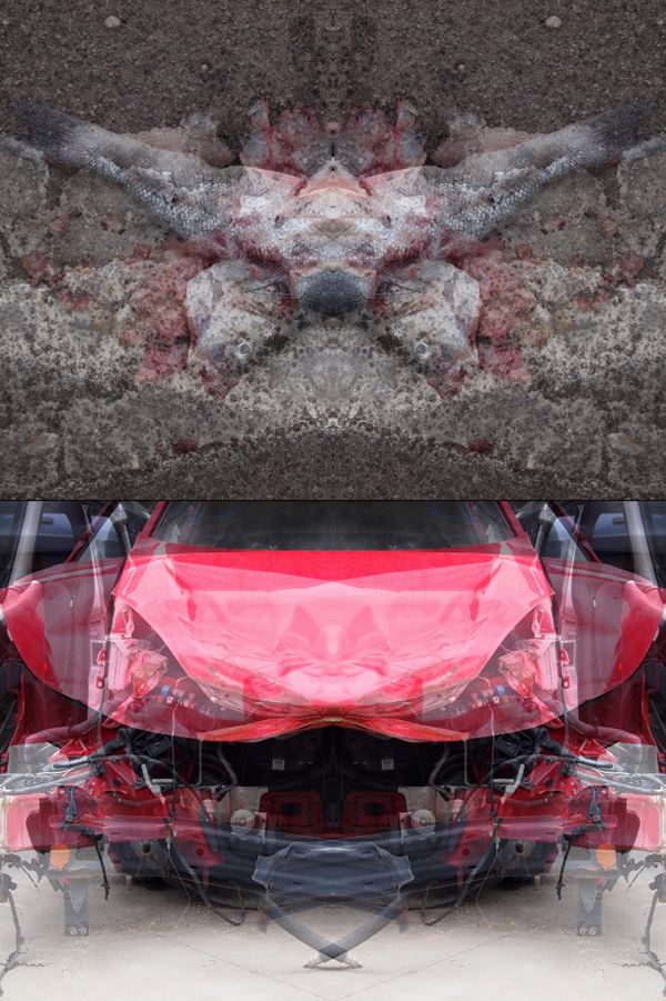 MAURO CUPPONE - Rorschach (Crash) Test #1ac. Dittico