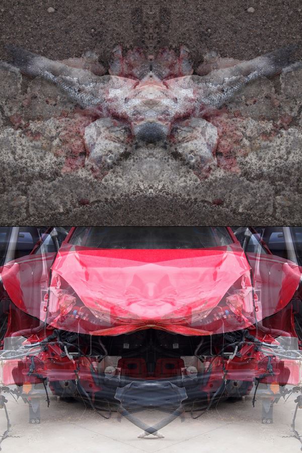 MAURO CUPPONE - Rorschach (Crash) Test #1ac. Diptych