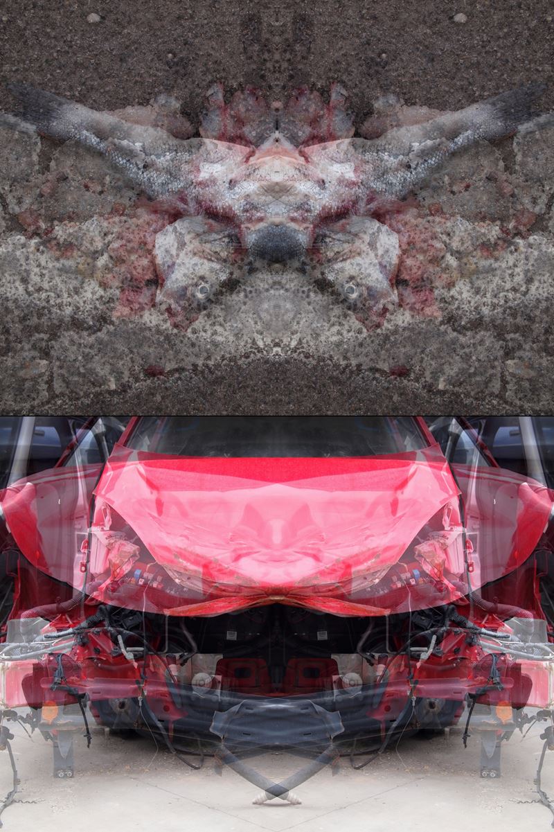 Mauro Cuppone - Rorschach (crash) Test #1ac. Dittico