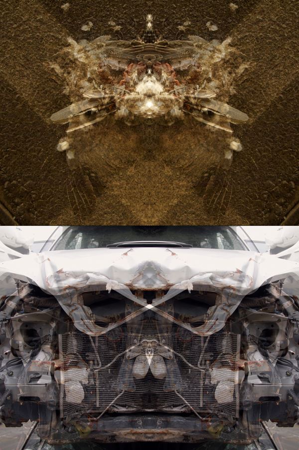 MAURO CUPPONE - Rorschach (Crash) Test #2ac