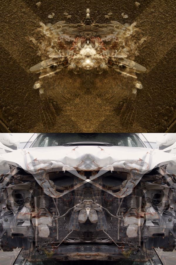 MAURO CUPPONE - Rorschach (Crash) Test #2ac