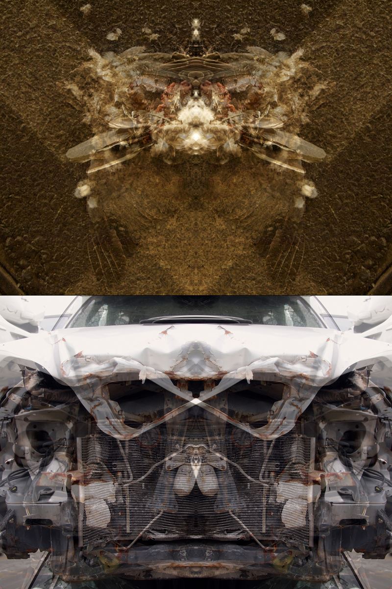 Mauro Cuppone - Rorschach (crash) Test #2ac