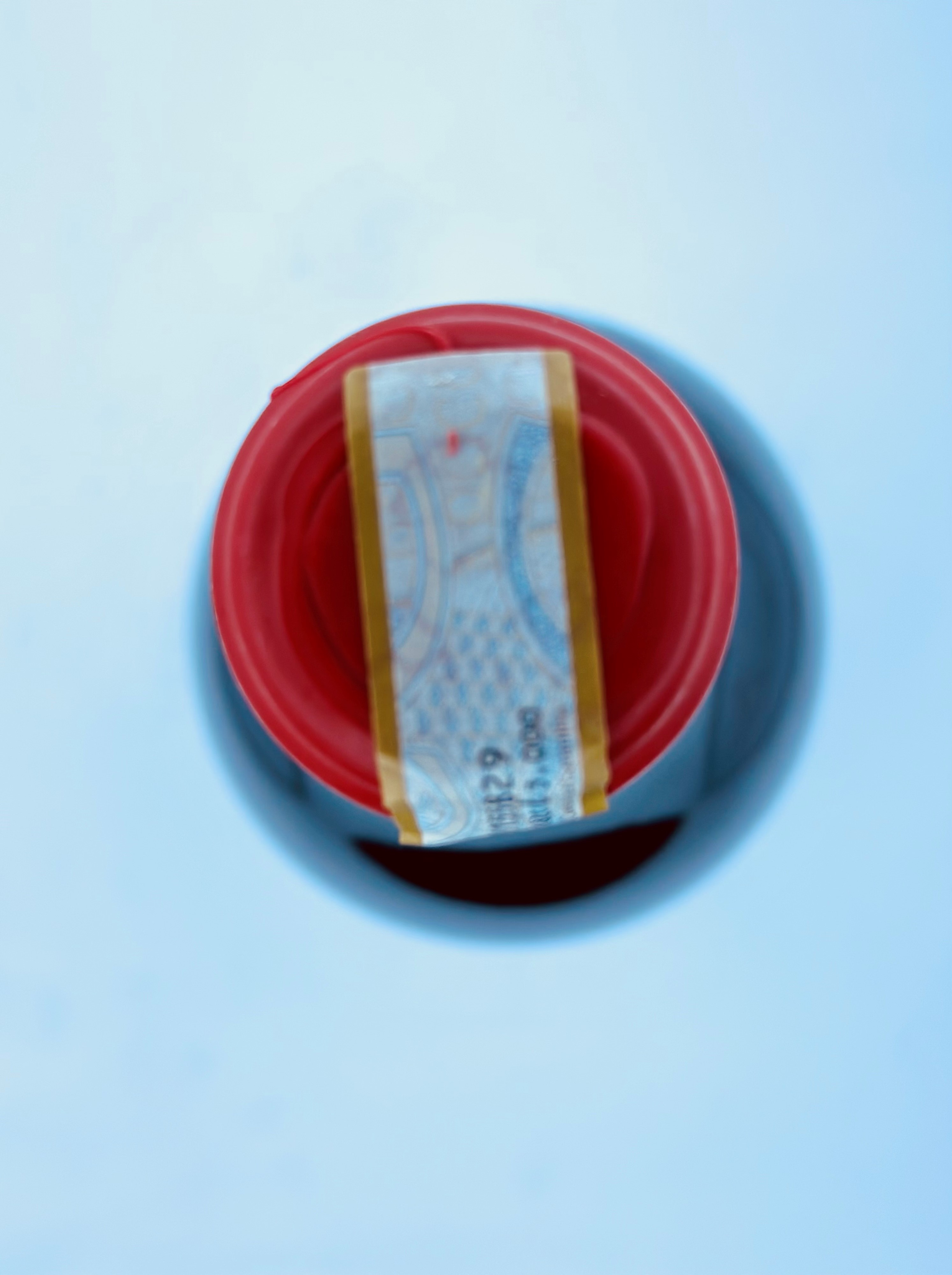 Giacomo Borgogno & Figli, Barolo