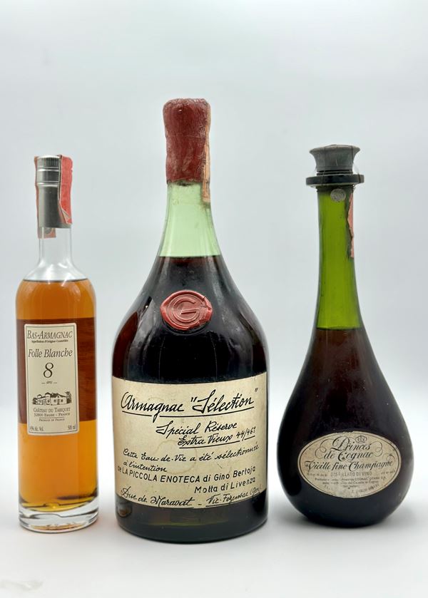 Folle Blanche 8 Yo - Duc de Maravat, Armagnac Selection Special Reserve - Princes de Cognac Vieille fine Champagne