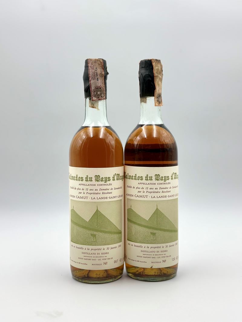 Adrien Camut, Calvados Pays D'auge 12 Yo