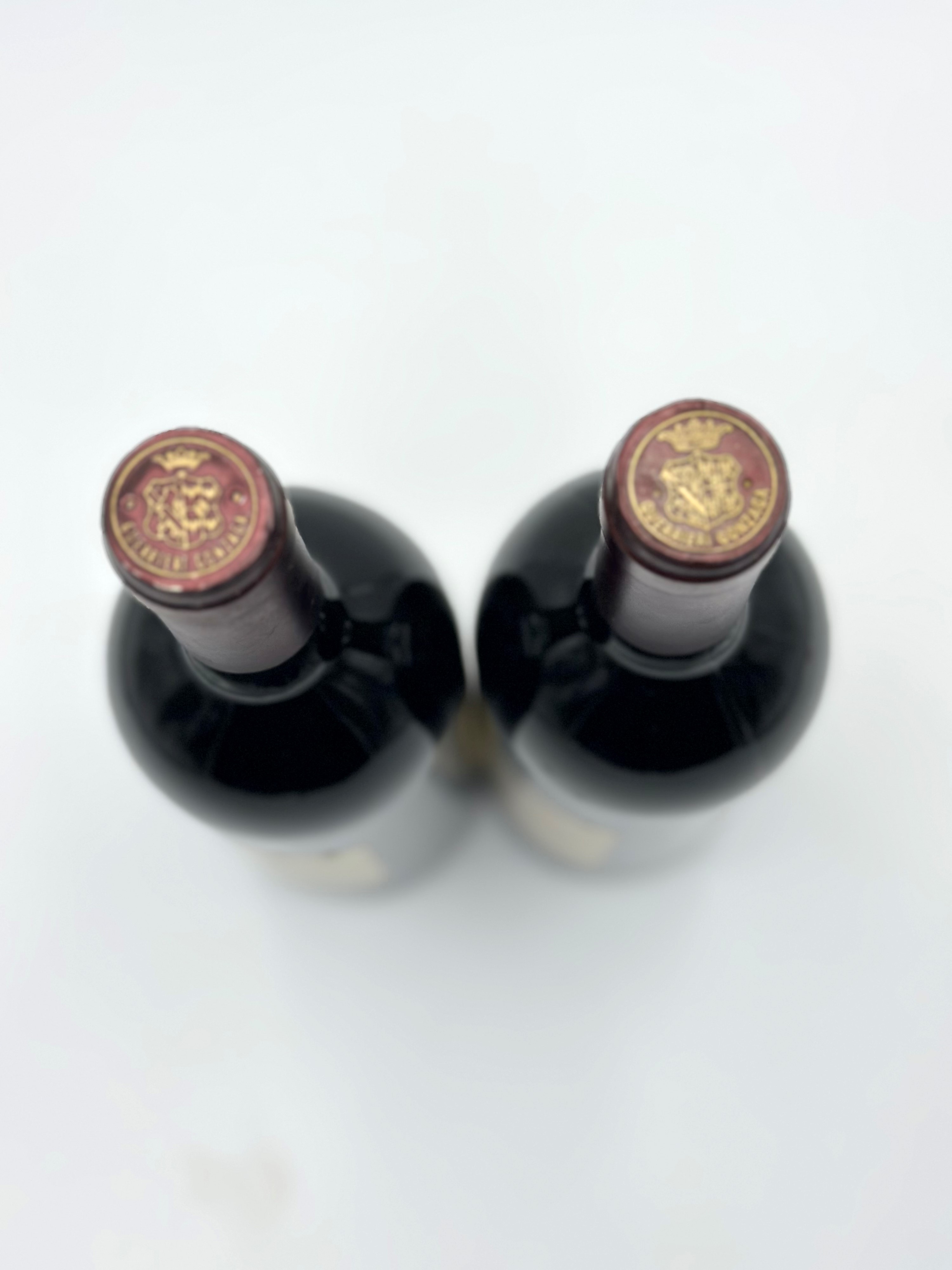 Carlo Guerrieri Gonzaga, San Leonardo