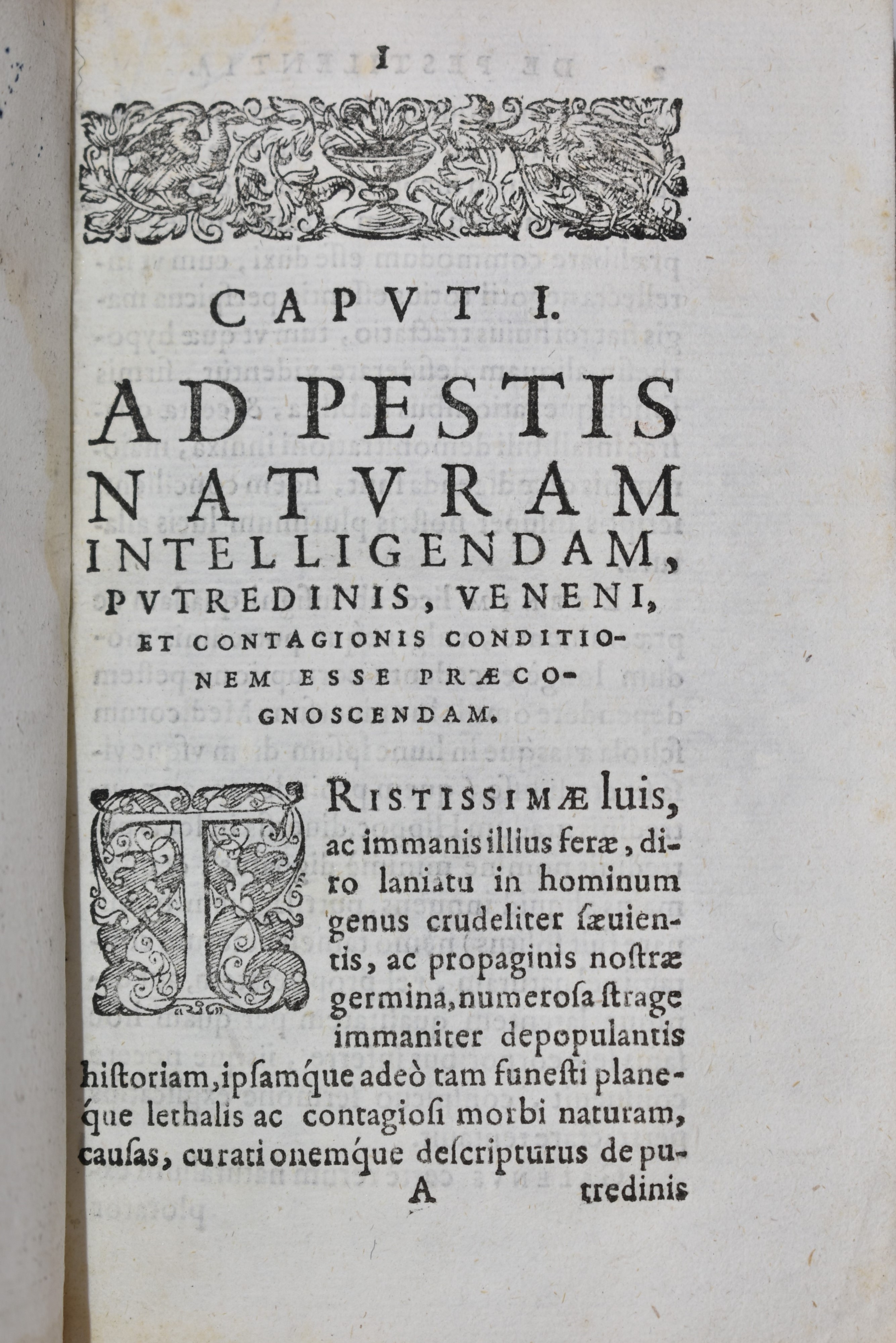 Minderer, Raymund: DE PESTILENTIA LIBER VNUS VETERUM ET NEOTERICORUM OBSERUATIONE CONSTANS, AUCTO...