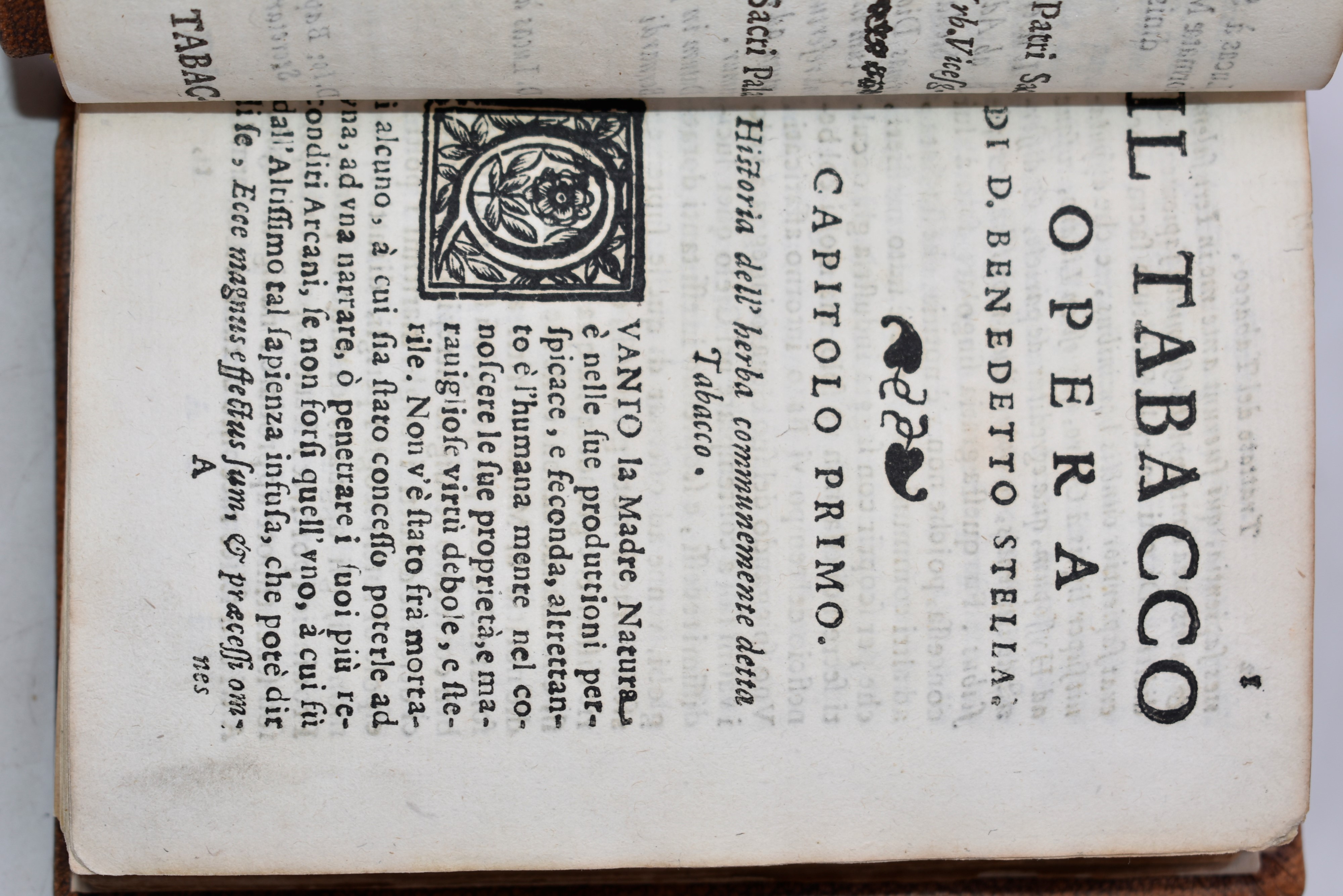 Stella, Benedetto: il Tabacco. Opera di D. Benedetto Stella da Ciuita Castellana M.D.s.b. nella Q...