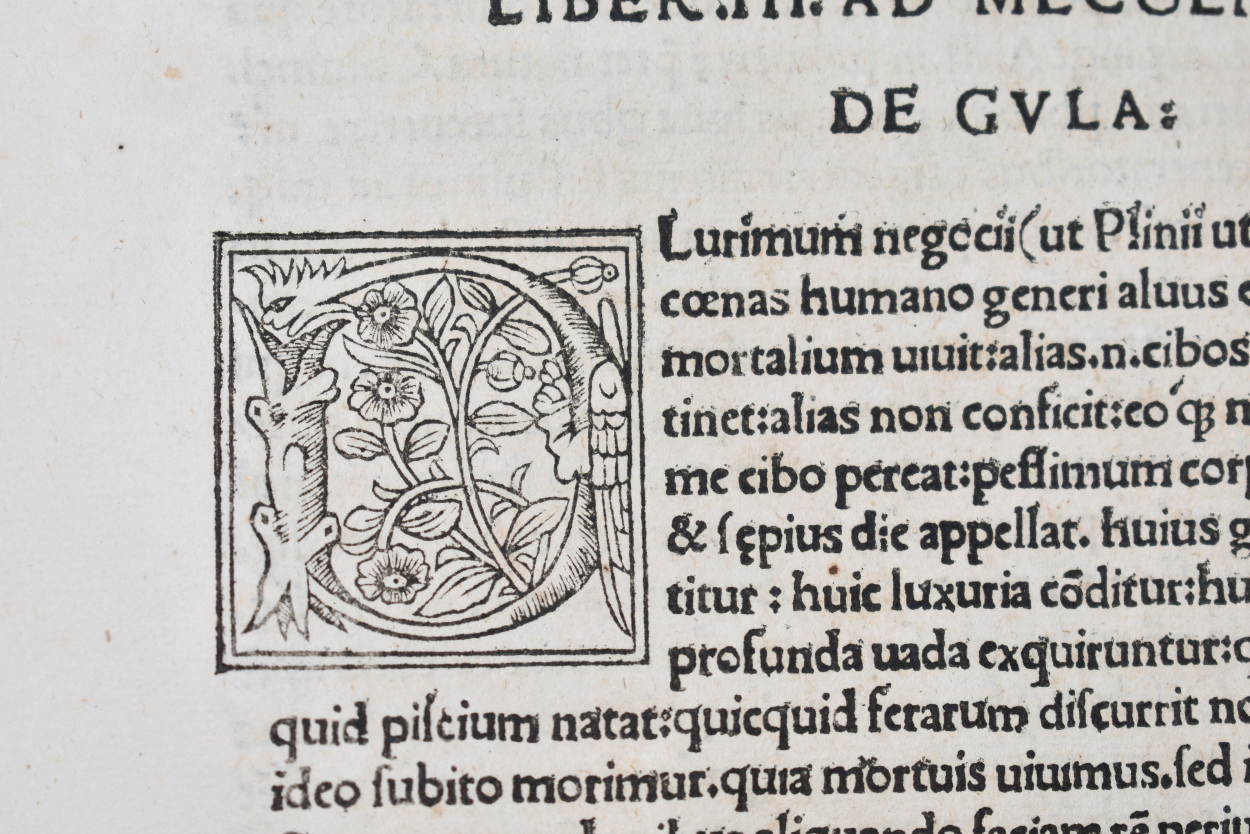 Brusoni, Lucius Domitius: Facetiarum Exemplorumque, Libri VII. Impressum Romae, 1518, per Iacobum...