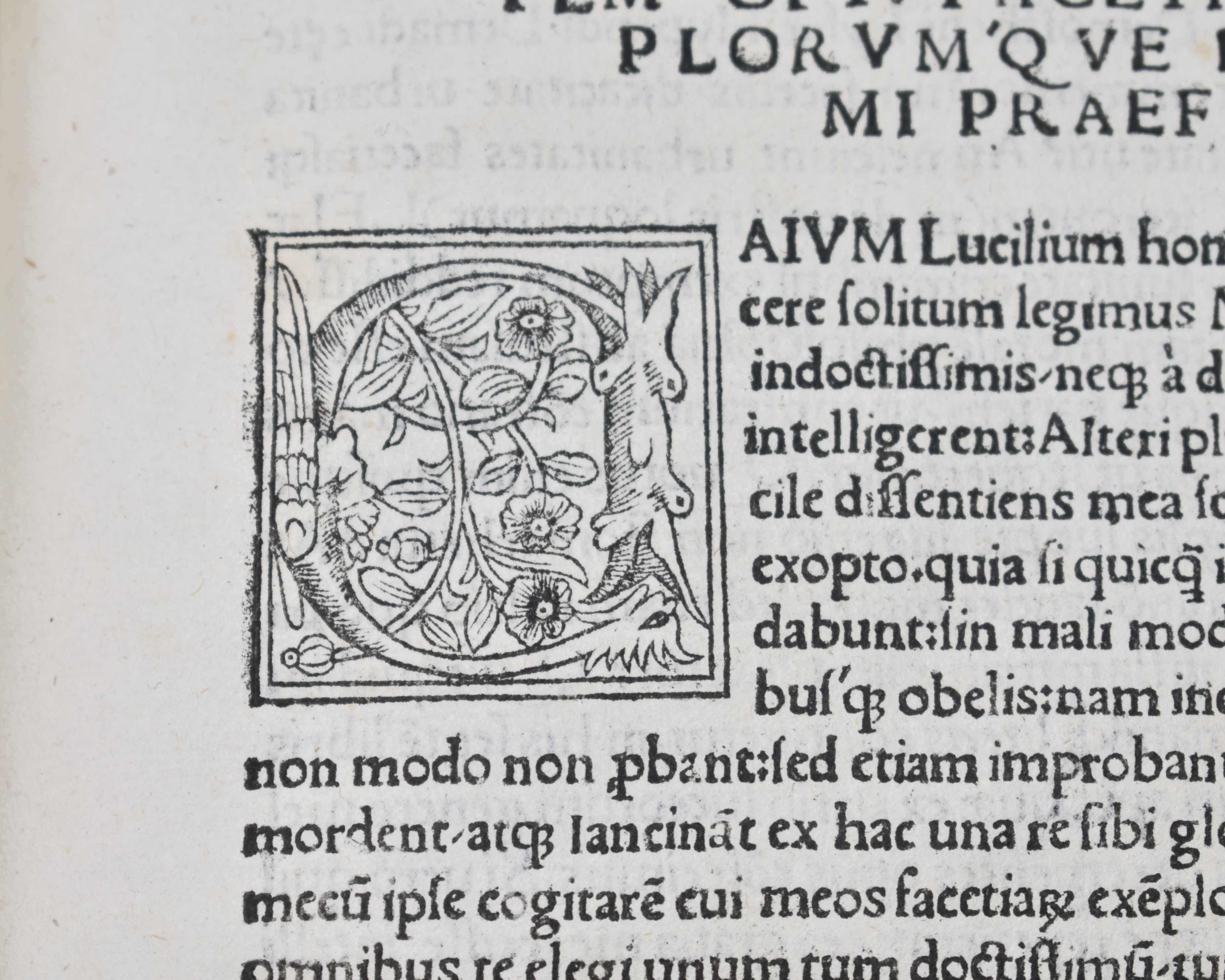 Brusoni, Lucius Domitius: Facetiarum Exemplorumque, Libri VII. Impressum Romae, 1518, per Iacobum...