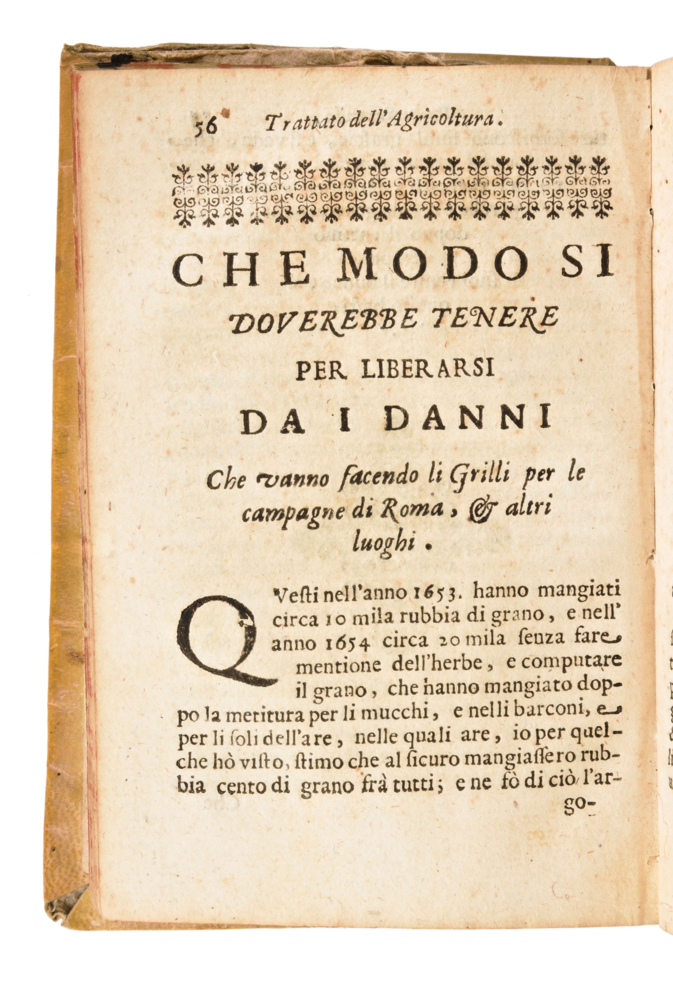 [ Viterbo / Economia ] Pontati, Paolo Pietro : Tariffa Economica, Et Agricola con Li Suoi Trattat...
