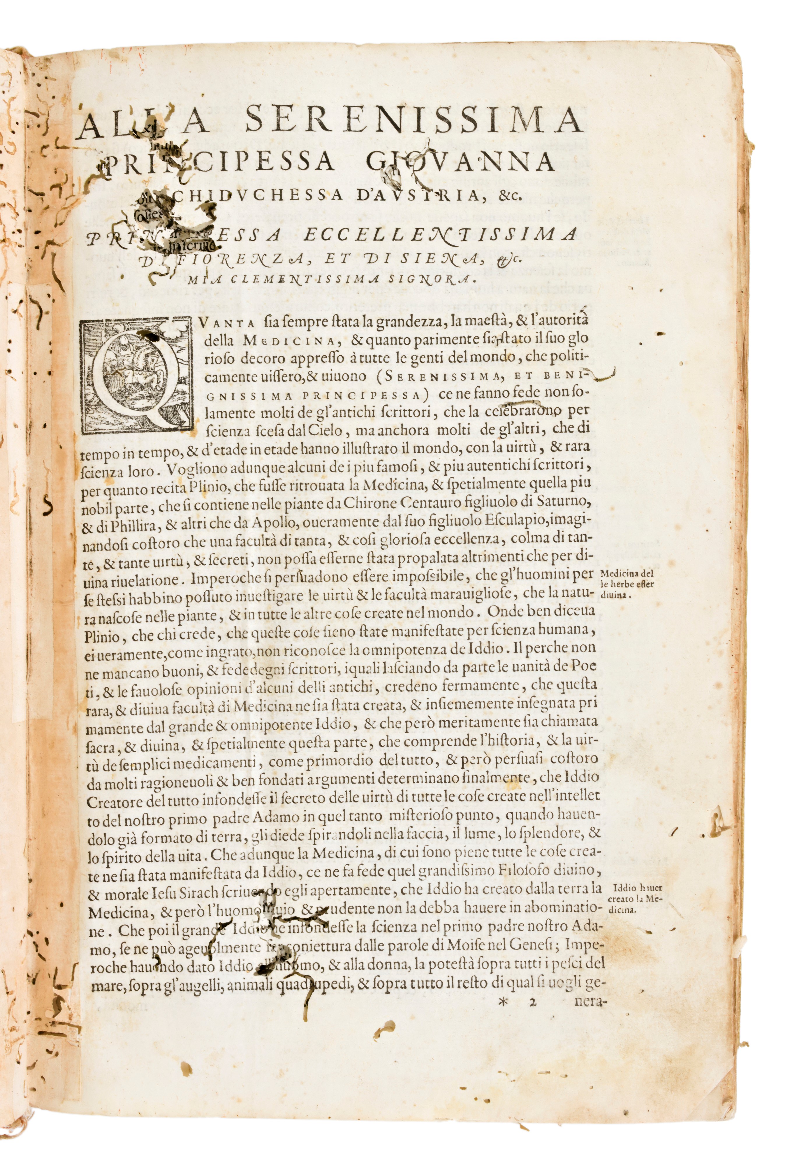 [Erbario] Mattioli, Pietro Andrea : I discorsi di m. Pietro Andrea Matthioli ... nelli sei libri ...