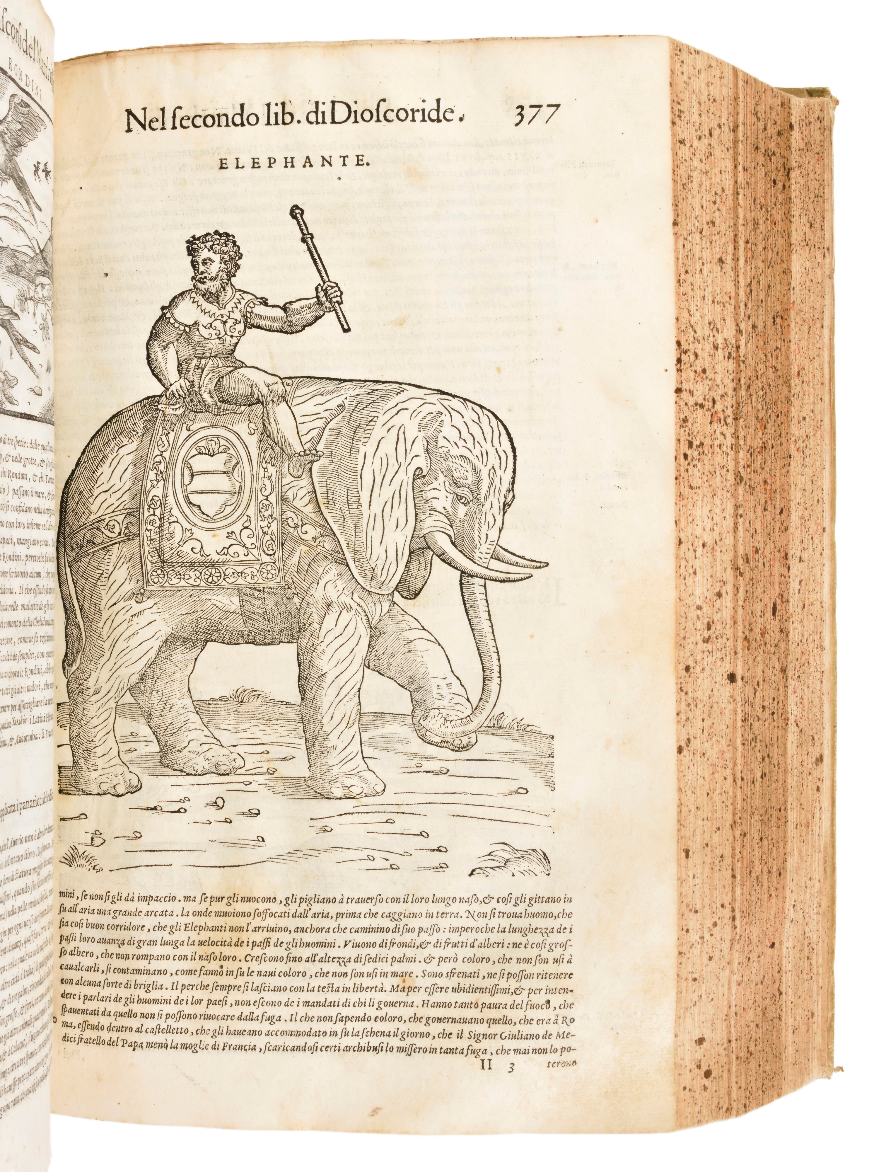 [Erbario] Mattioli, Pietro Andrea : I discorsi di m. Pietro Andrea Matthioli ... nelli sei libri ...