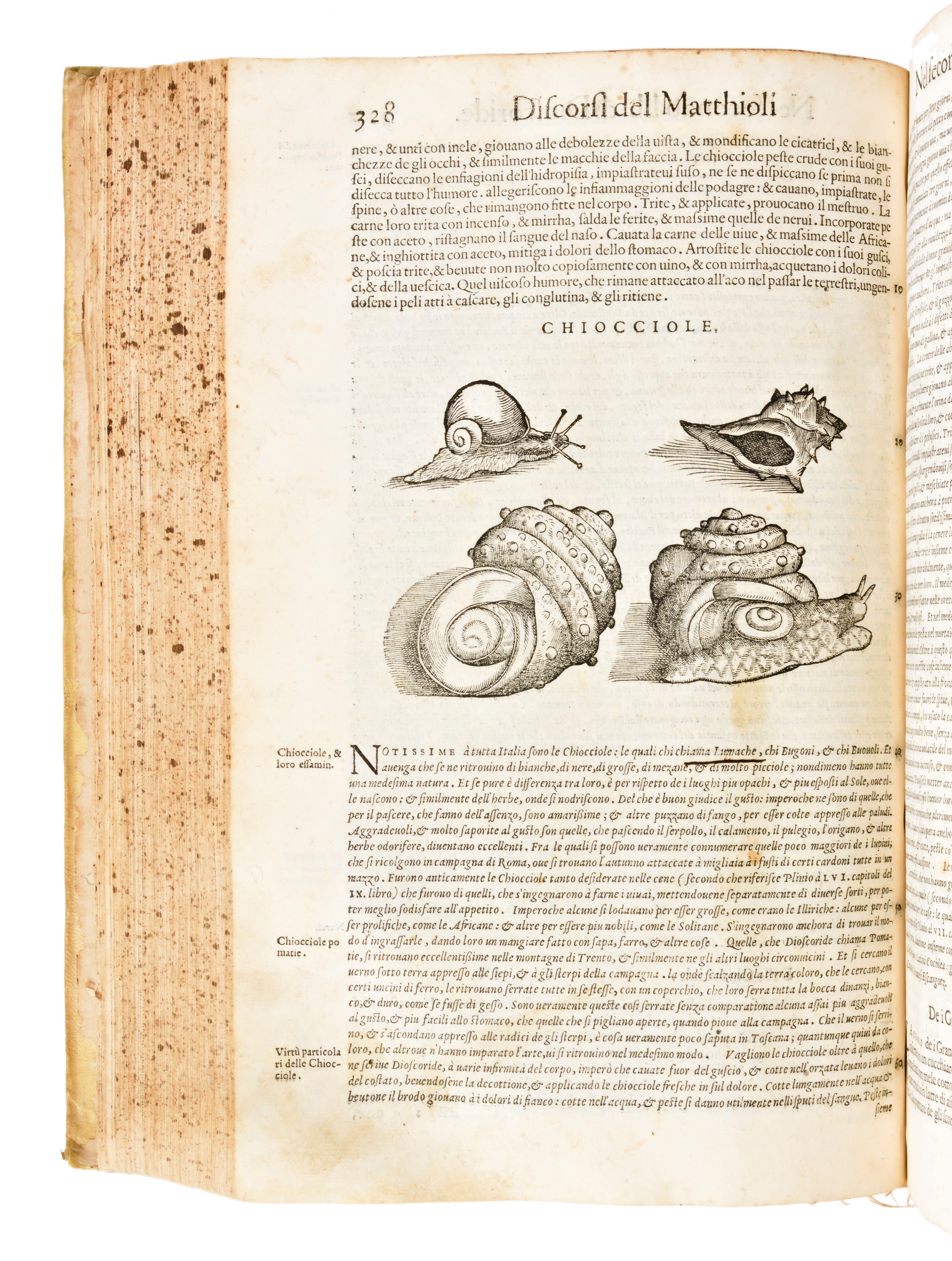 [Erbario] Mattioli, Pietro Andrea : I discorsi di m. Pietro Andrea Matthioli ... nelli sei libri ...