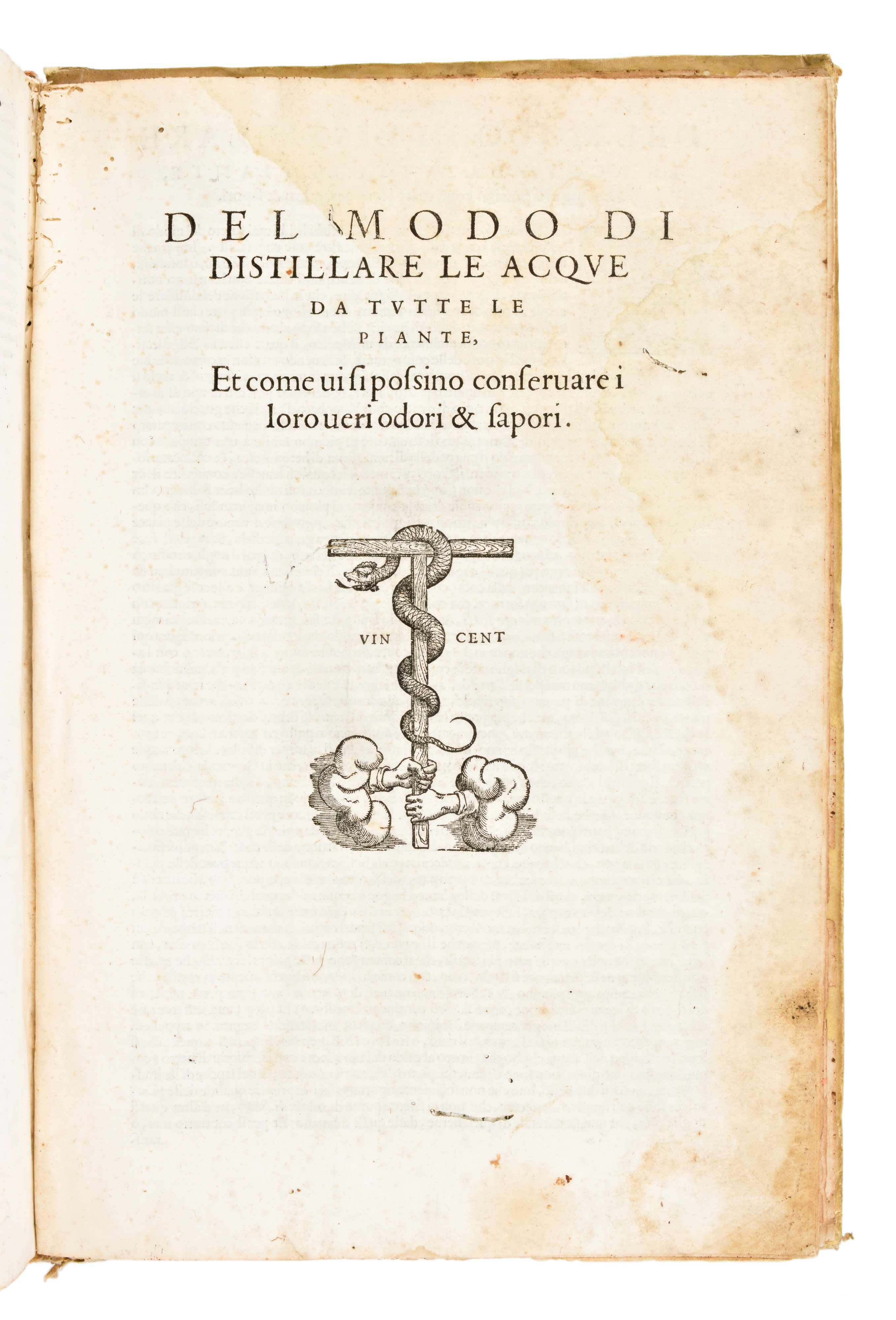 [Erbario] Mattioli, Pietro Andrea : I discorsi di m. Pietro Andrea Matthioli ... nelli sei libri ...