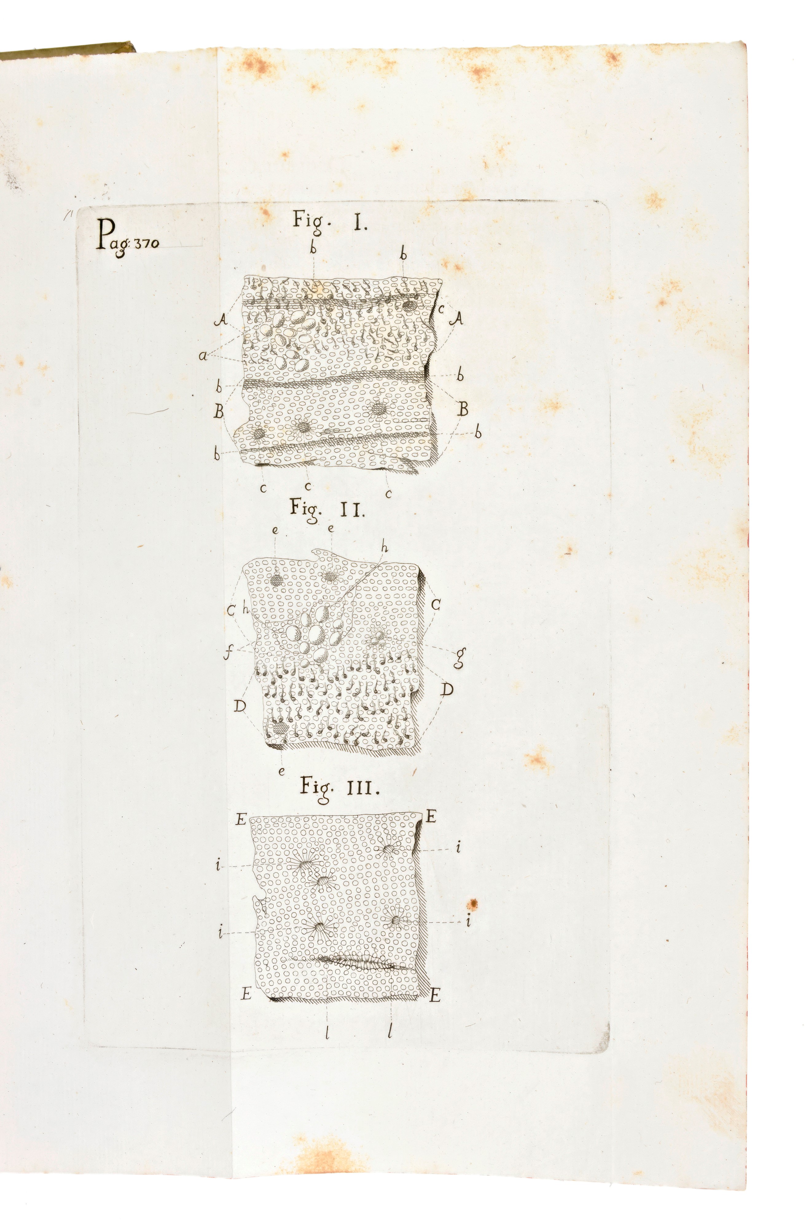 De Bononiensi Scientiarum Et Artium Instituto Atque Academia Commentarii. Bononiae, Ex Typ. Laeli...
