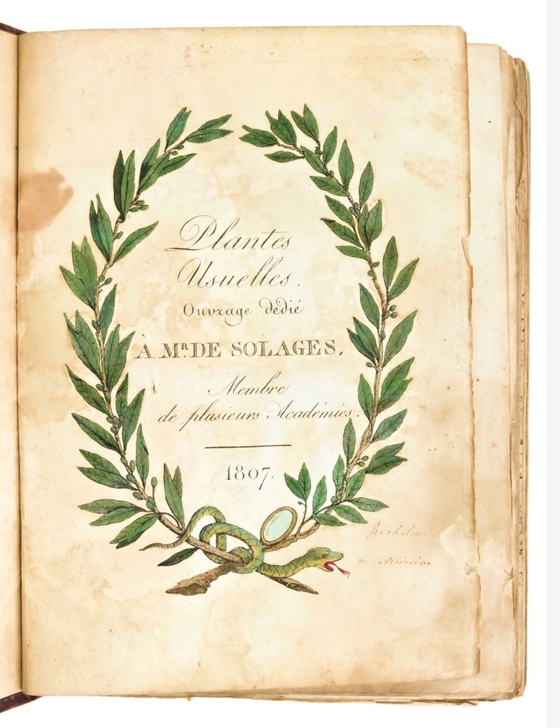 [ Botanica / Erbario ] Roques Joseph : Plantes Usuelles, Indigènes Et Exotiques. Tome Premier (-s...