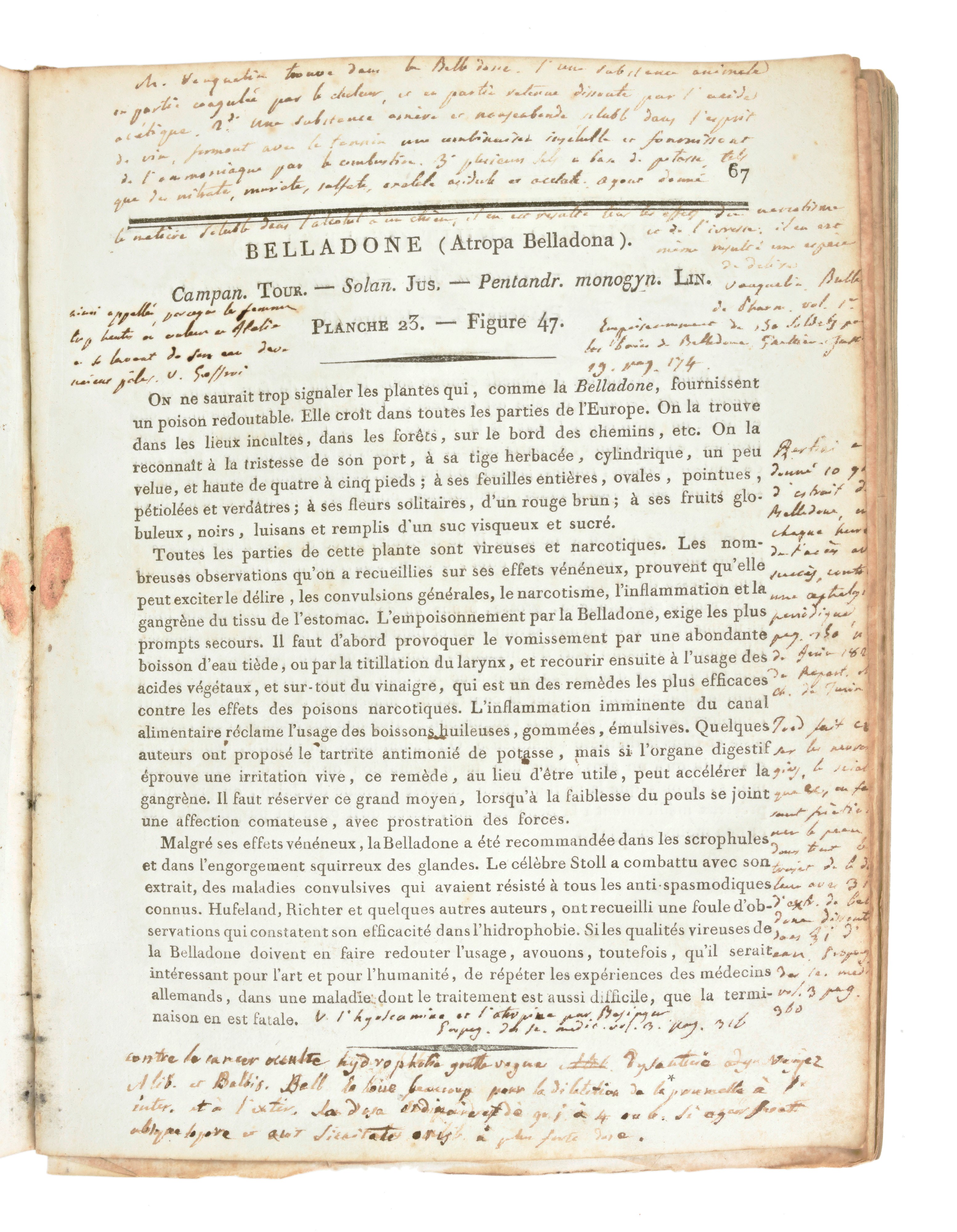 [ BOTANICA / ERBARIO ] ROQUES Joseph : Plantes usuelles, indigènes et exotiques. Tome premier (-s...