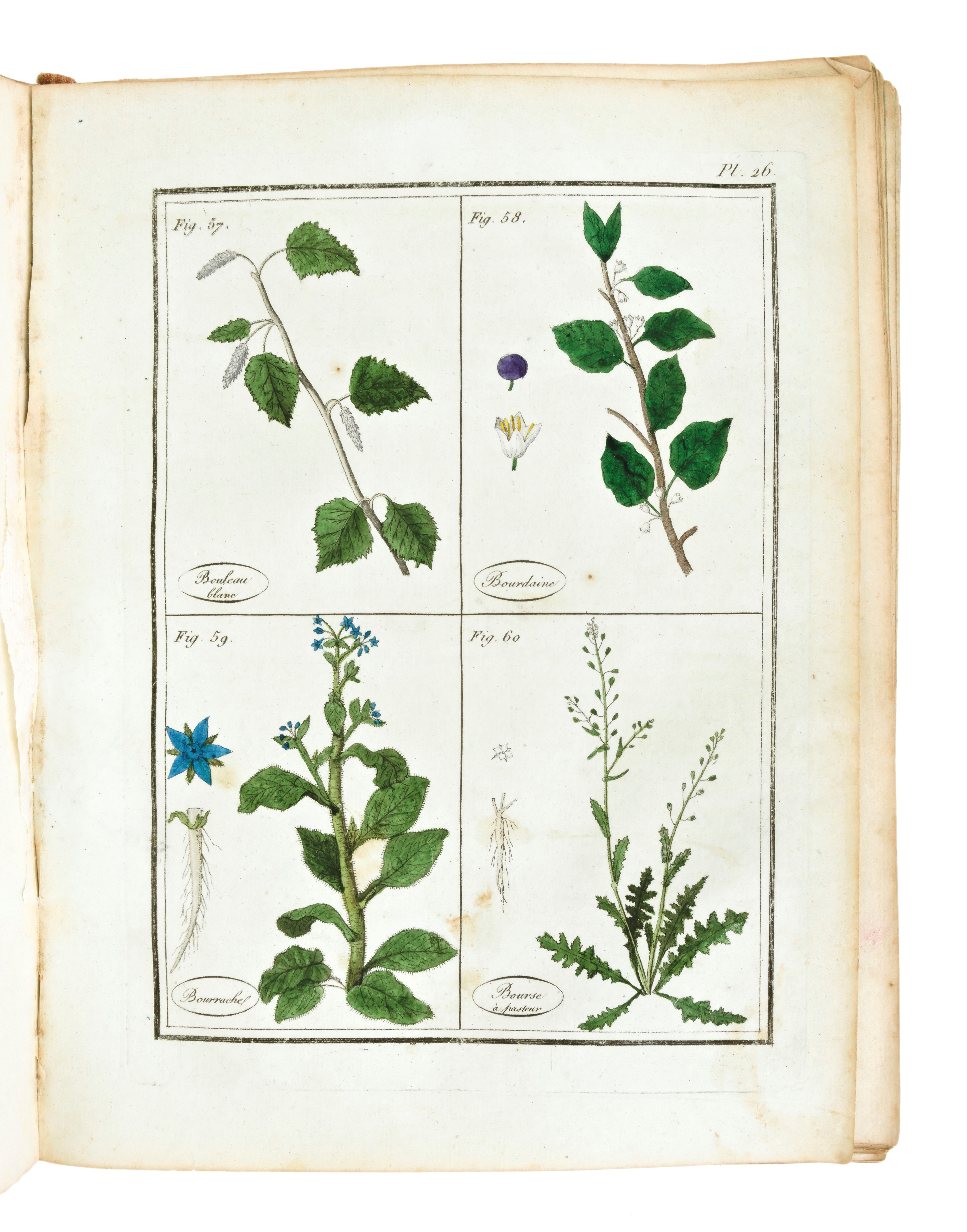 [ BOTANICA / ERBARIO ] ROQUES Joseph : Plantes usuelles, indigènes et exotiques. Tome premier (-s...