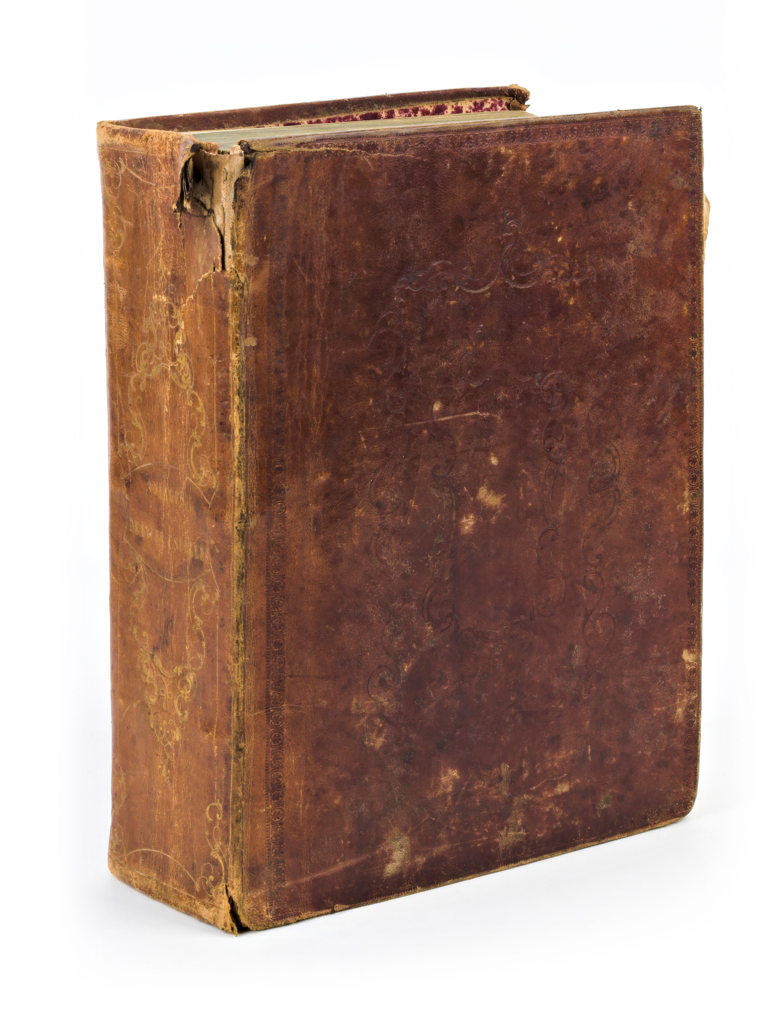 [ BOTANICA / ERBARIO ] ROQUES Joseph : Plantes usuelles, indigènes et exotiques. Tome premier (-s...