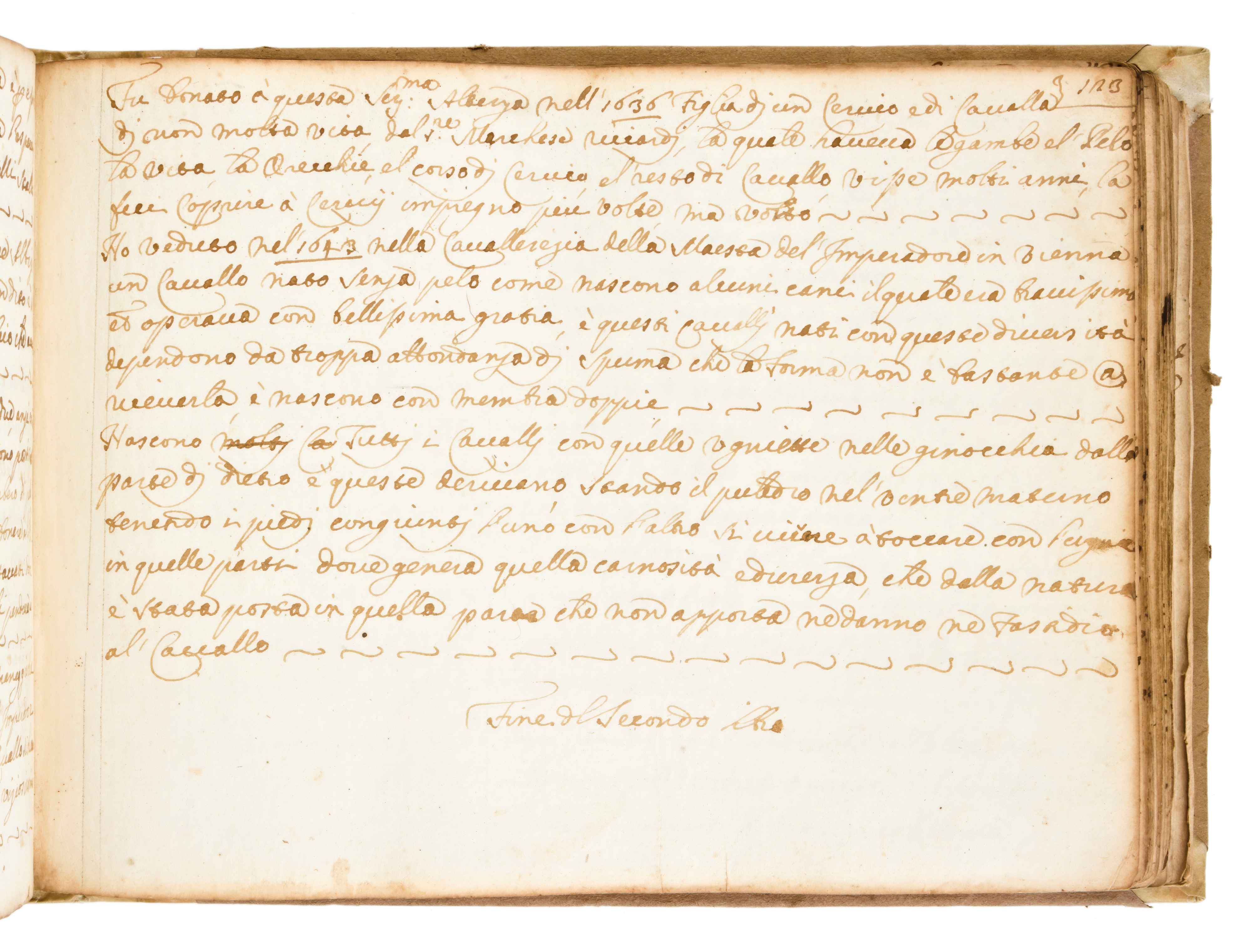 [ MANOSCRITTI / EQUITAZIONE ] " Manoscritto Discorso sopra i Cavalli, Mali d’essi e Modo di Impar...