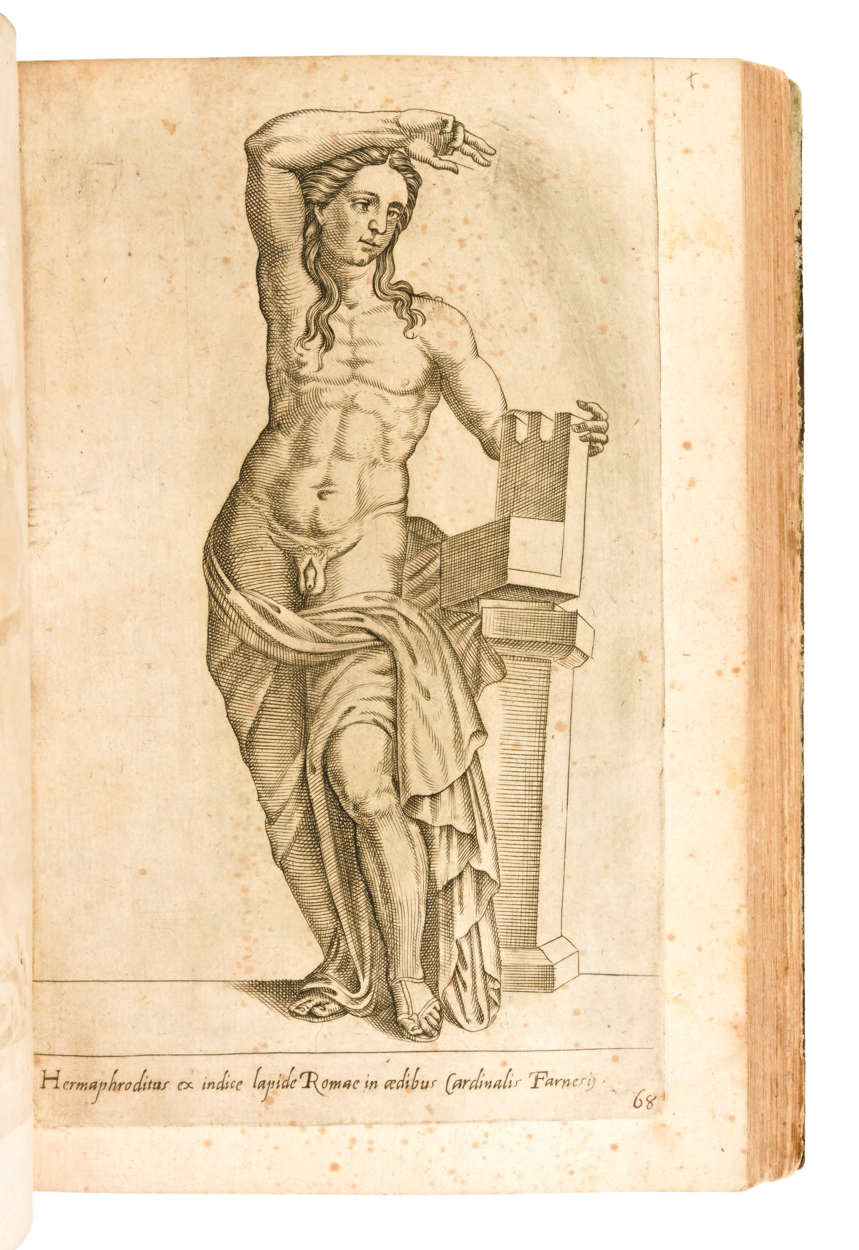 Cavalieri, Giovanni Battista : Insigniores statuarum vrbis Romae icones. Antiquitatis studiosis e...