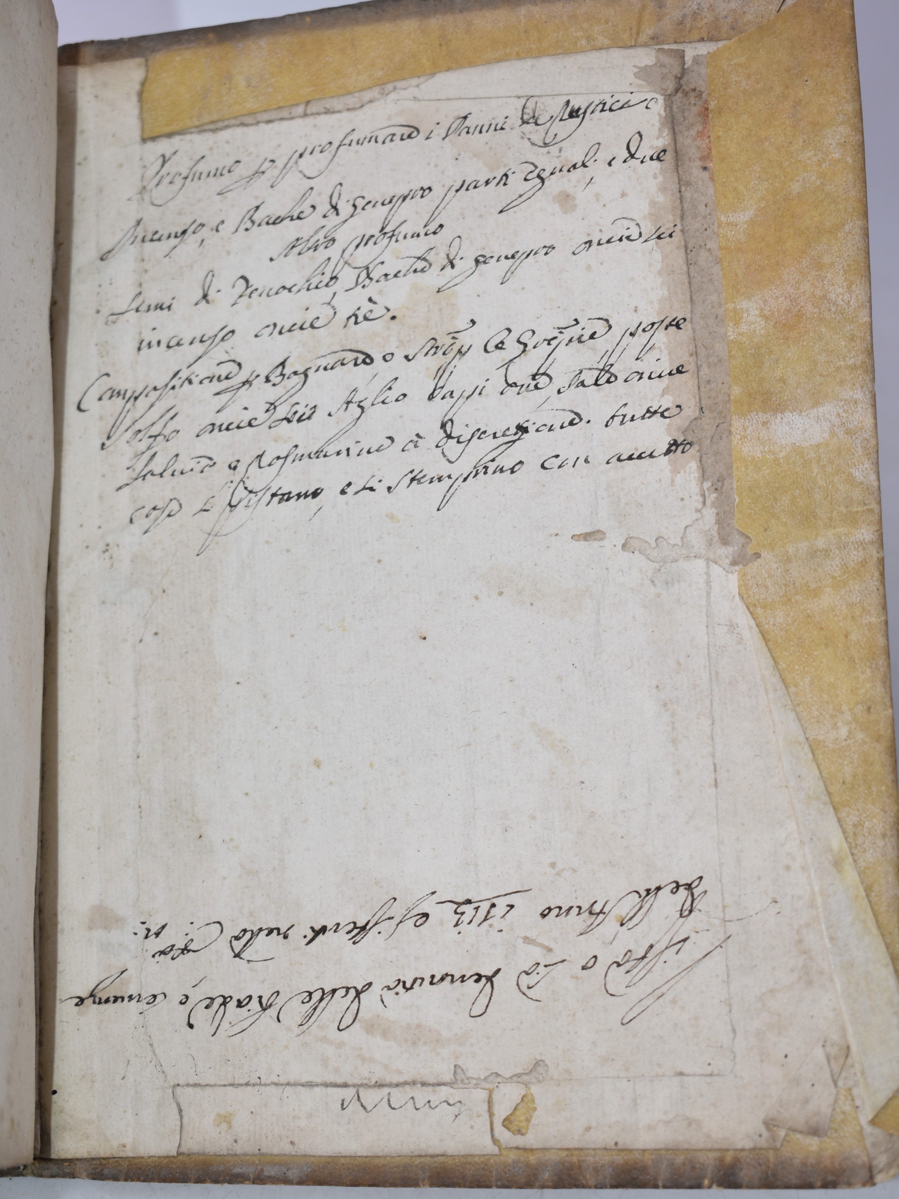 Soliani, Domenico Maria Dominici Mariæ Soliani ... Archetypus Instrumentorum Pro Novellis Notarii...
