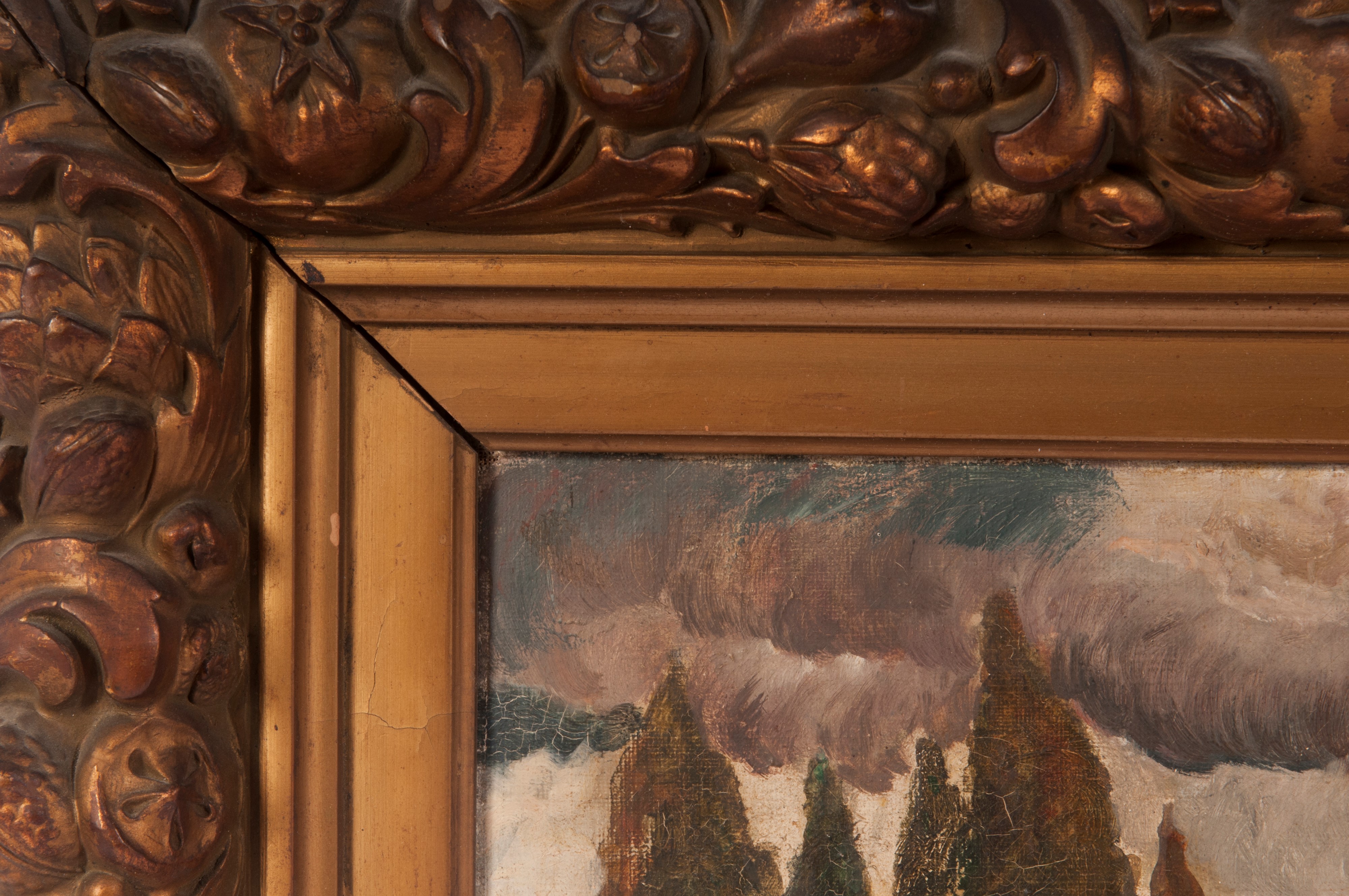 Paesaggio lacustre con alberi