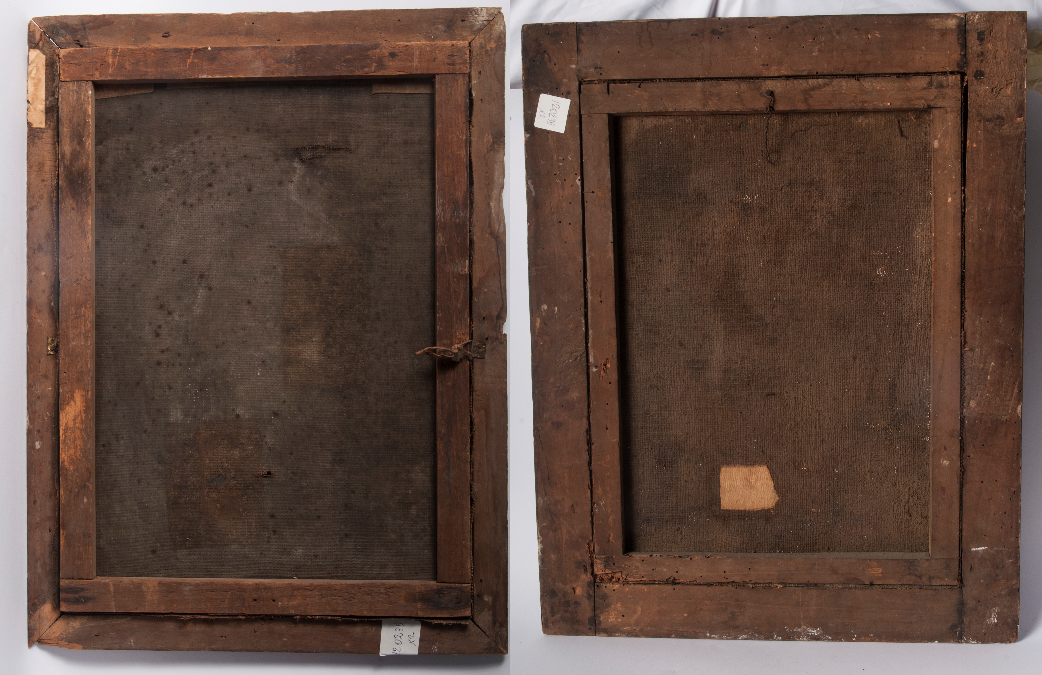 Lotto di due vasi con fiori