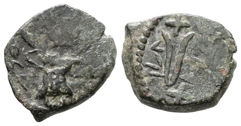 Capua. Principato di Salerno/capua. Follaro/frazione. Cu; 1,57gr.